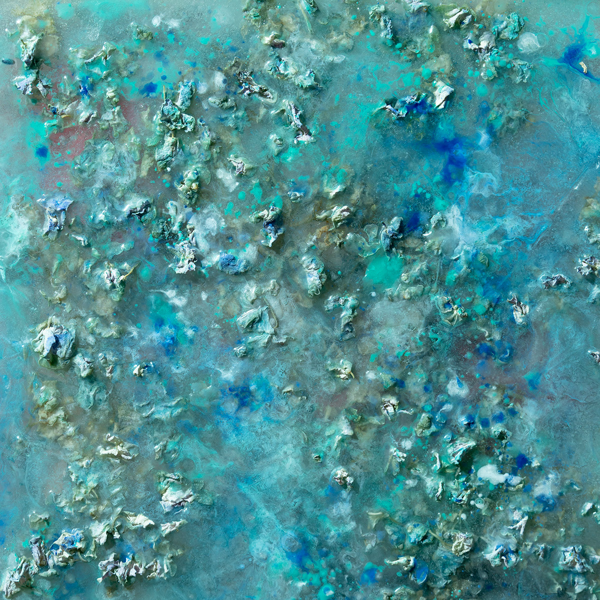 Blue hydrangea, 60x60 cm