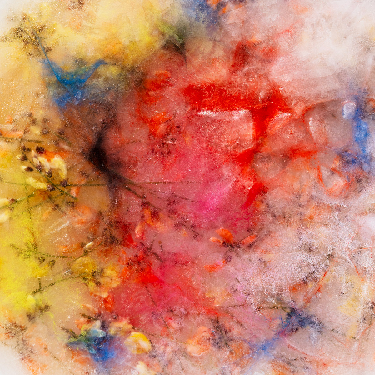 Yellow and Orange Genistra, 60x60 cm