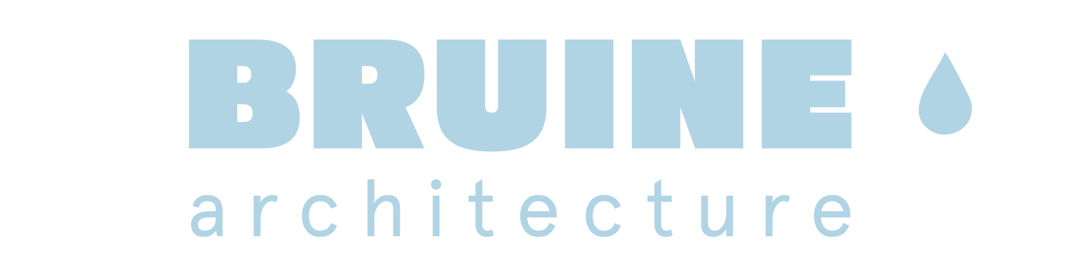 BRUINE architecture