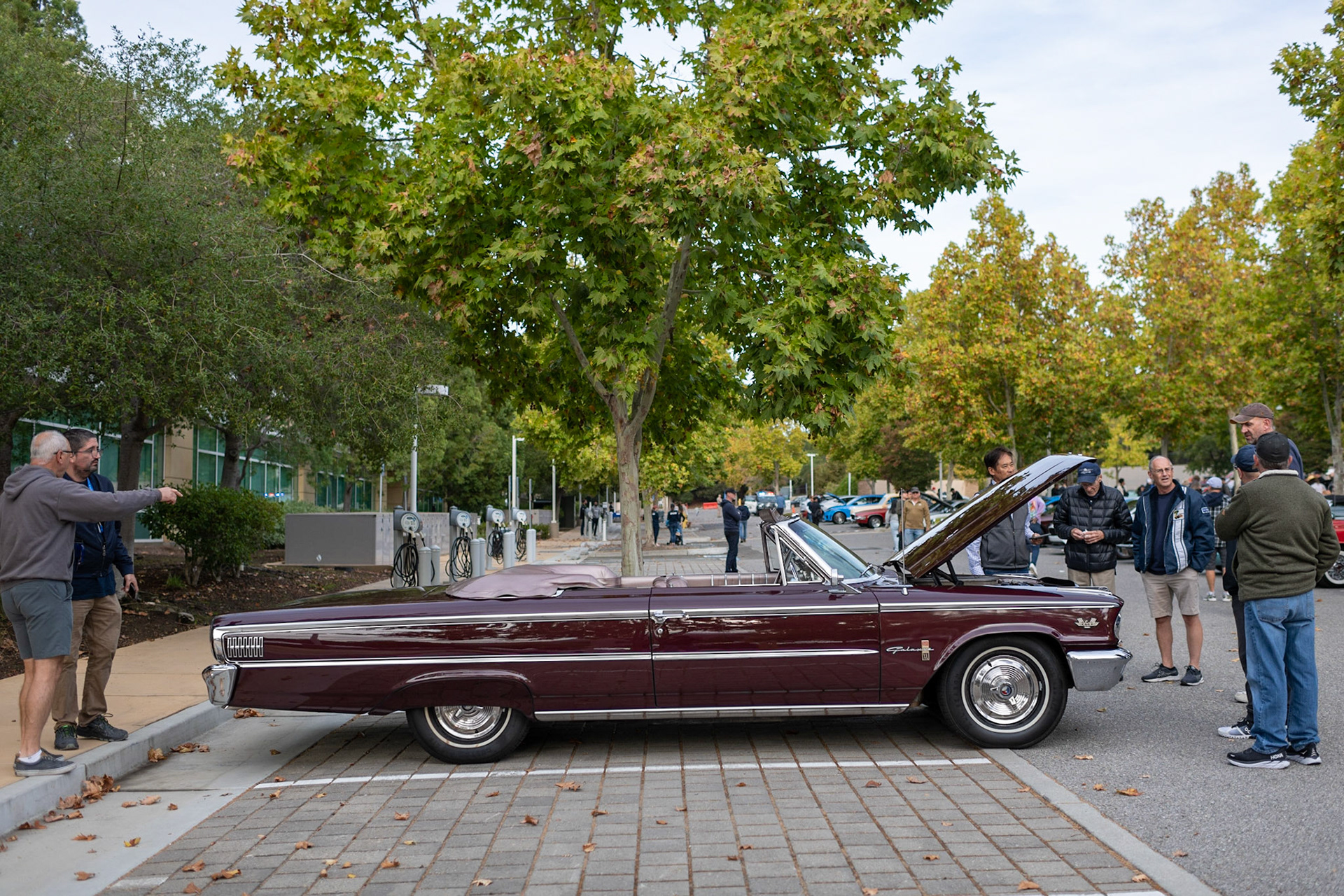 Ford Galaxie