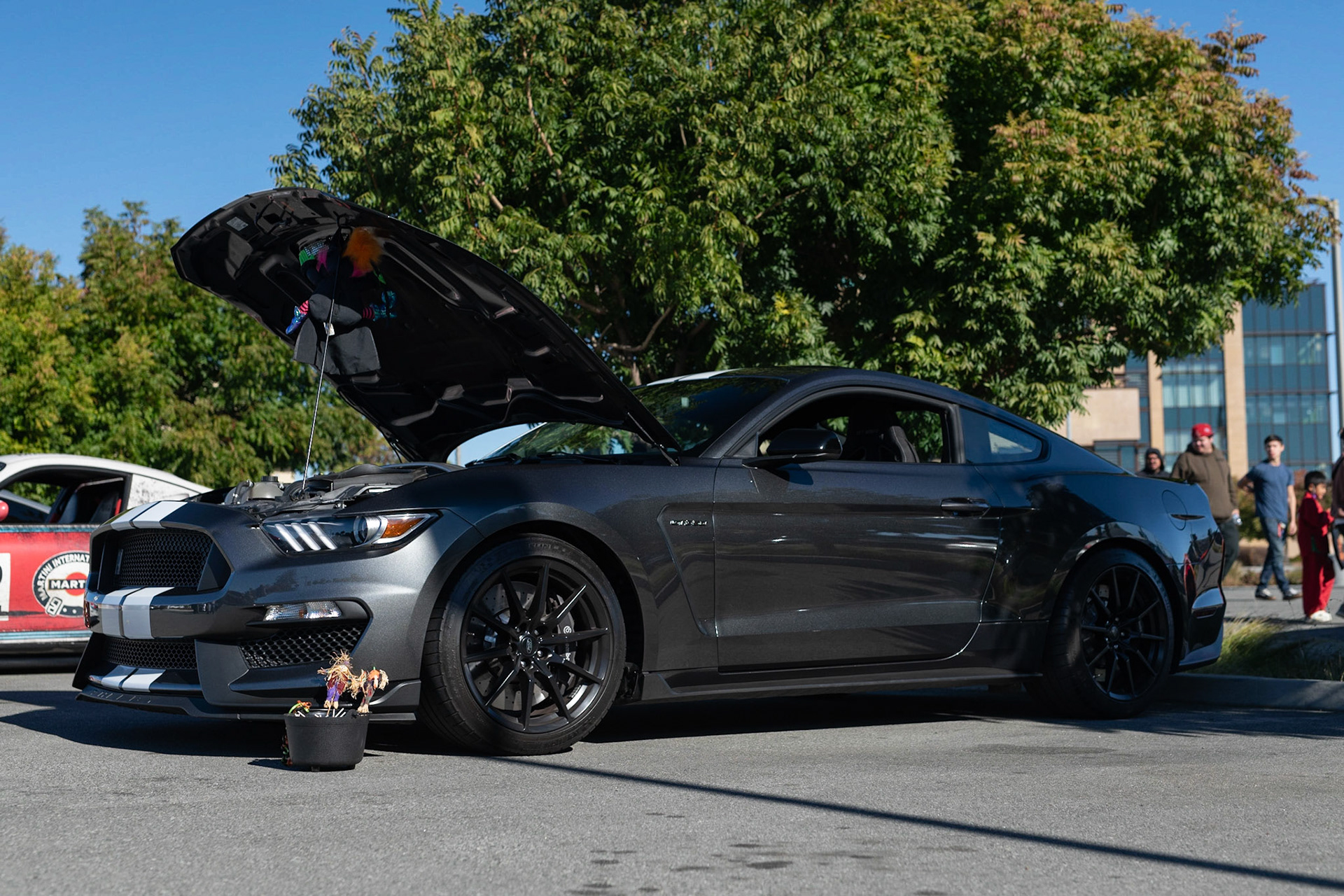 Ford Shelby Mustang GT350