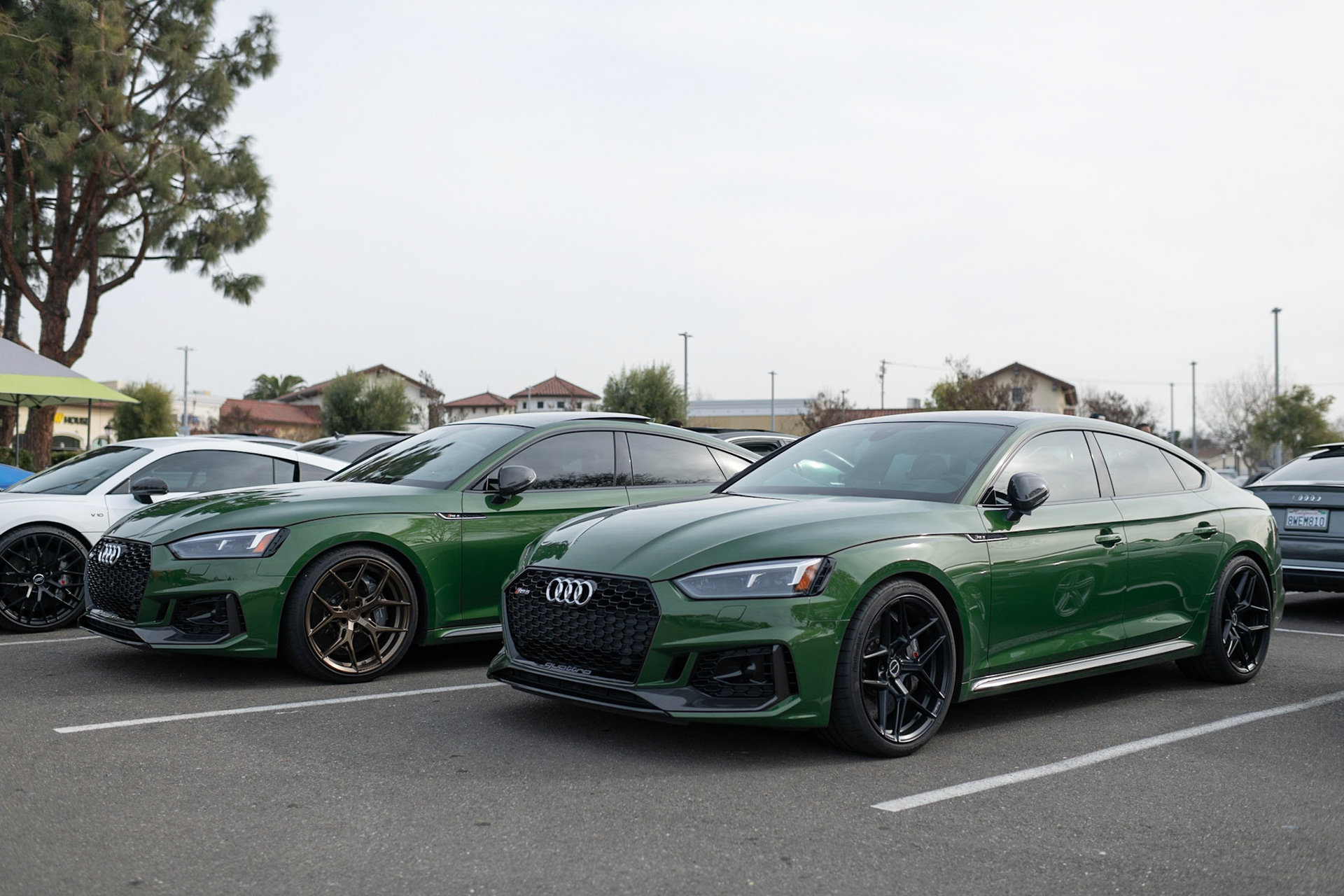 Audi RS6 wagons