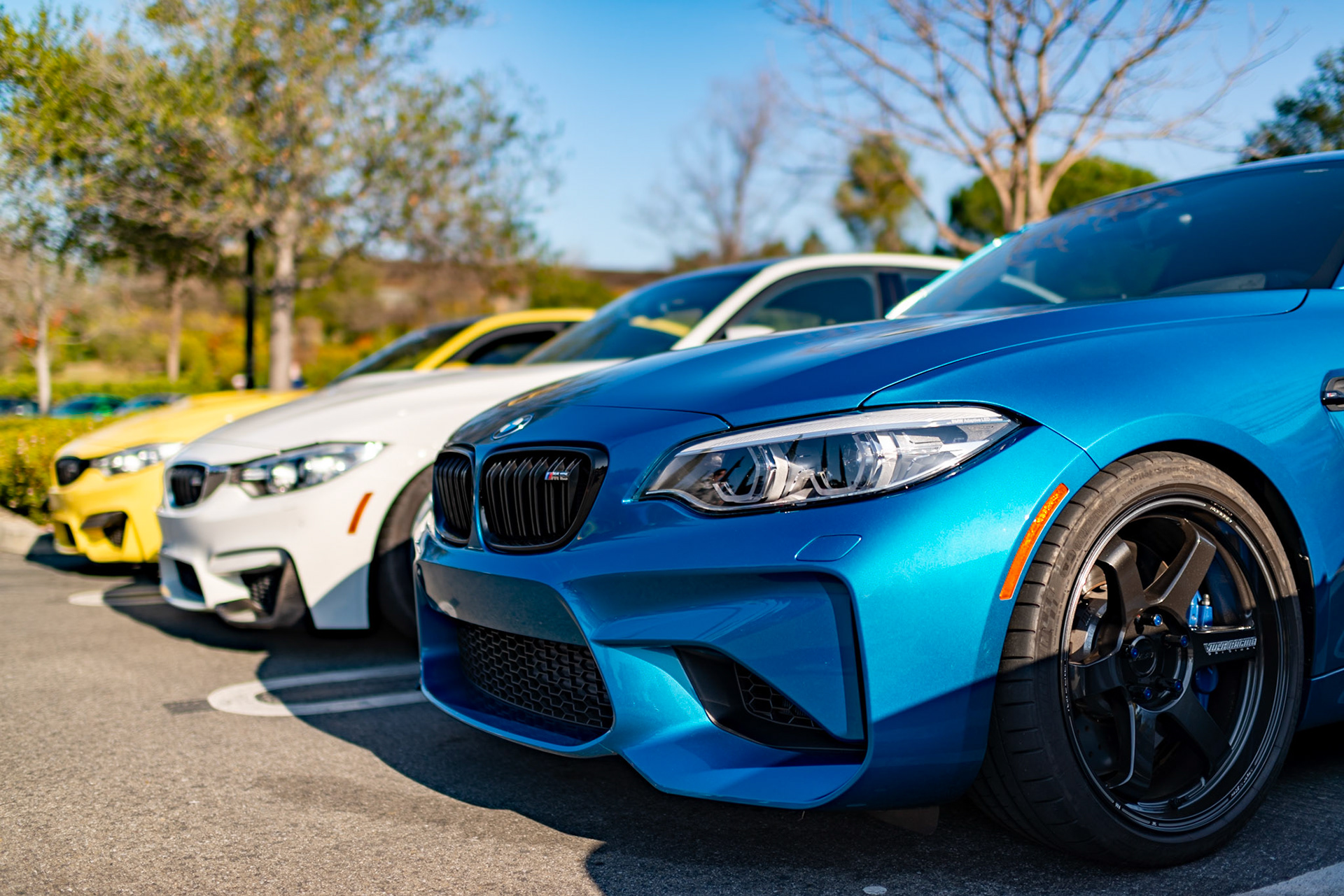 BMWs