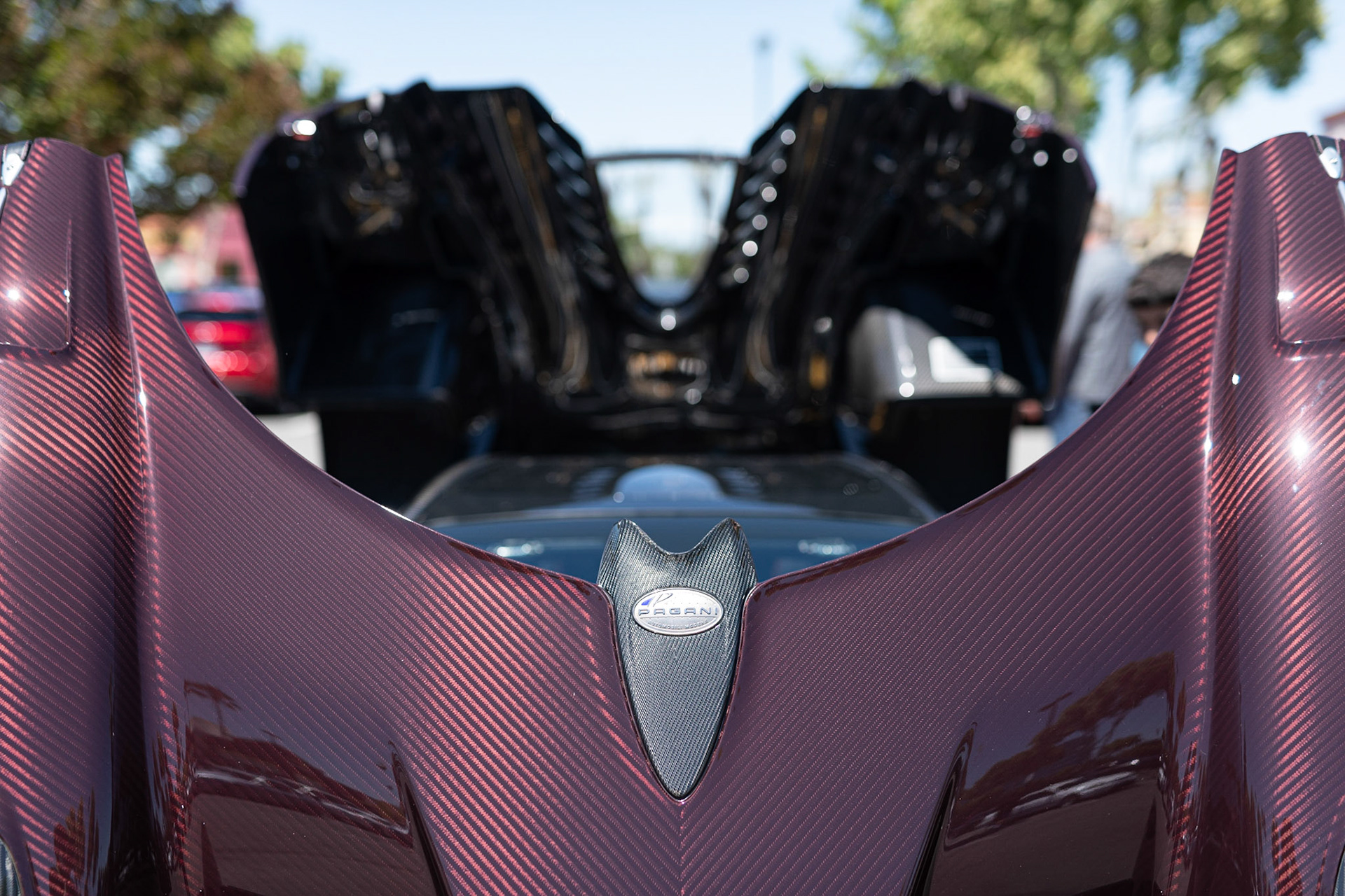 Pagani Huayra Roadster @1slocrx