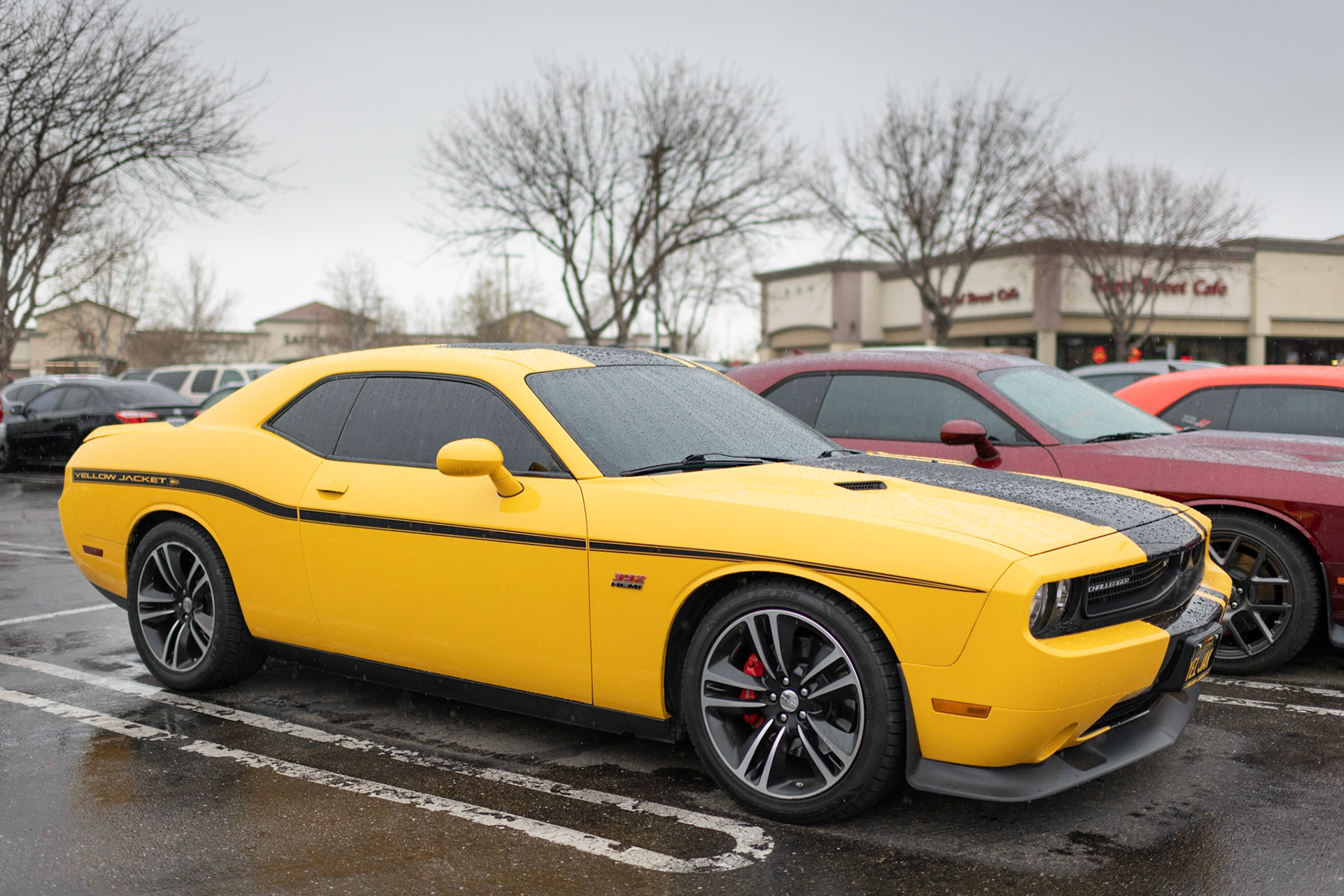 Dodge Challenger Yellow Jacket