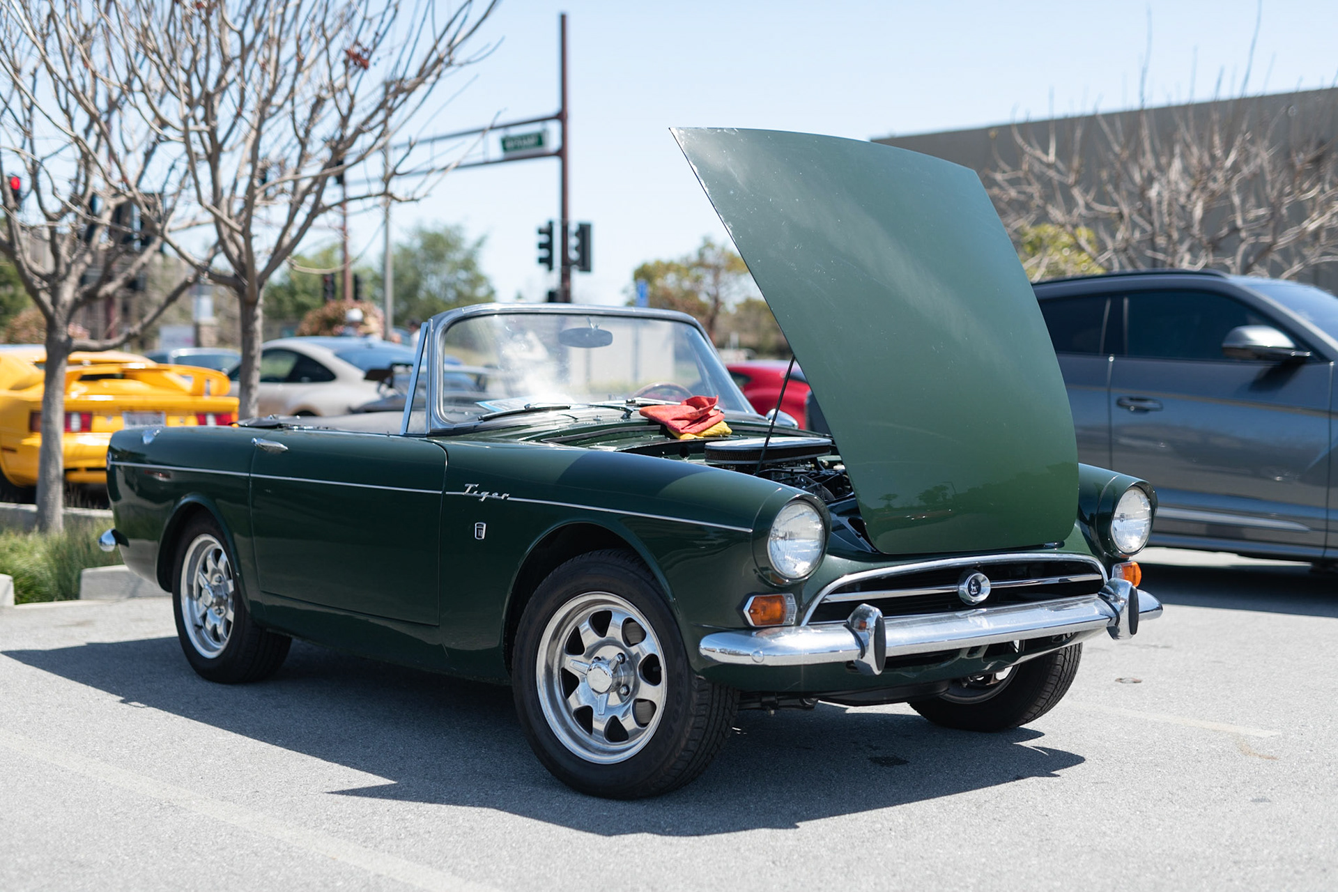 Sunbeam Tiger