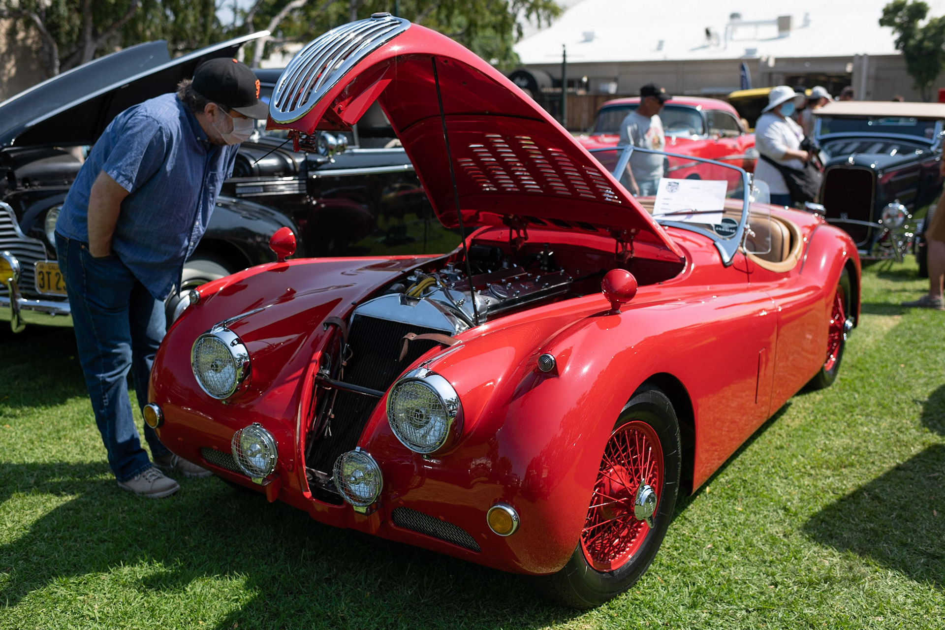 Jaguar XK140