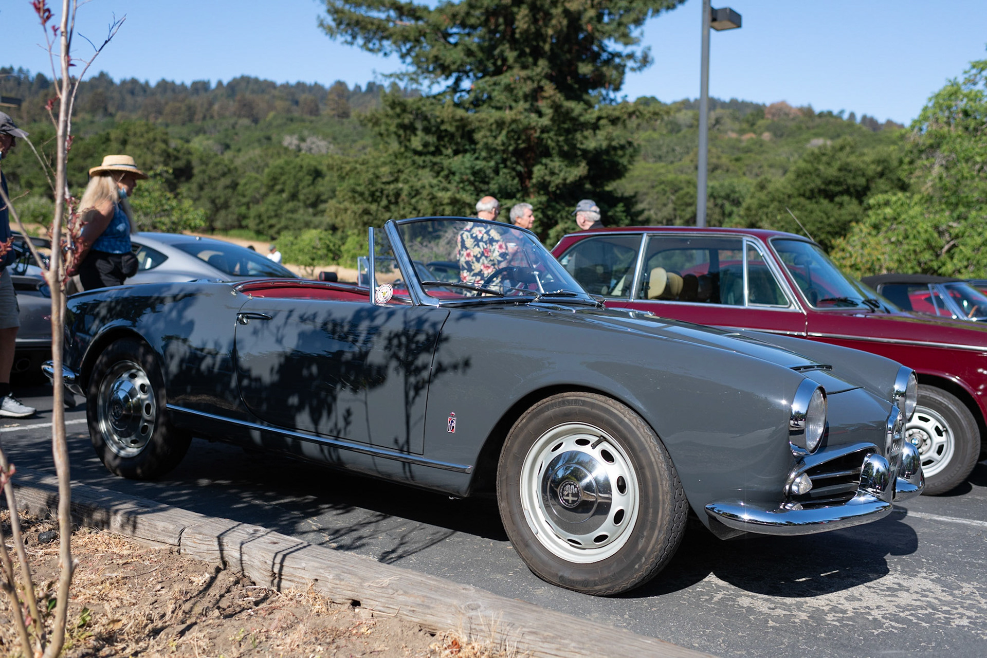 Alfa Romeo 1600 Veloce