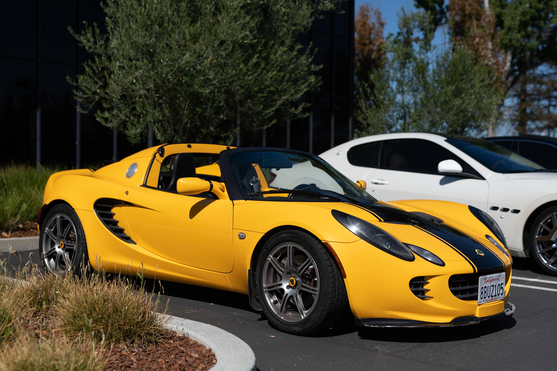 Lotus Elise