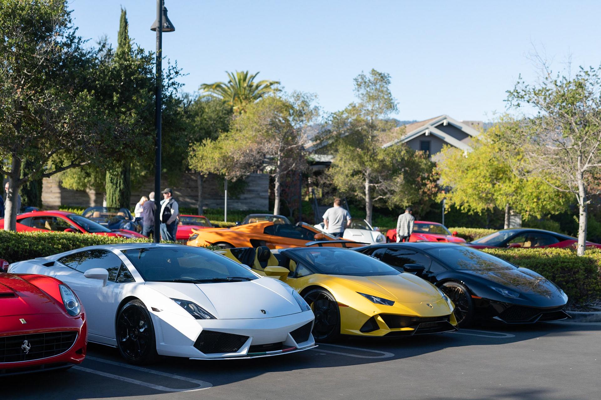 Lamborghini