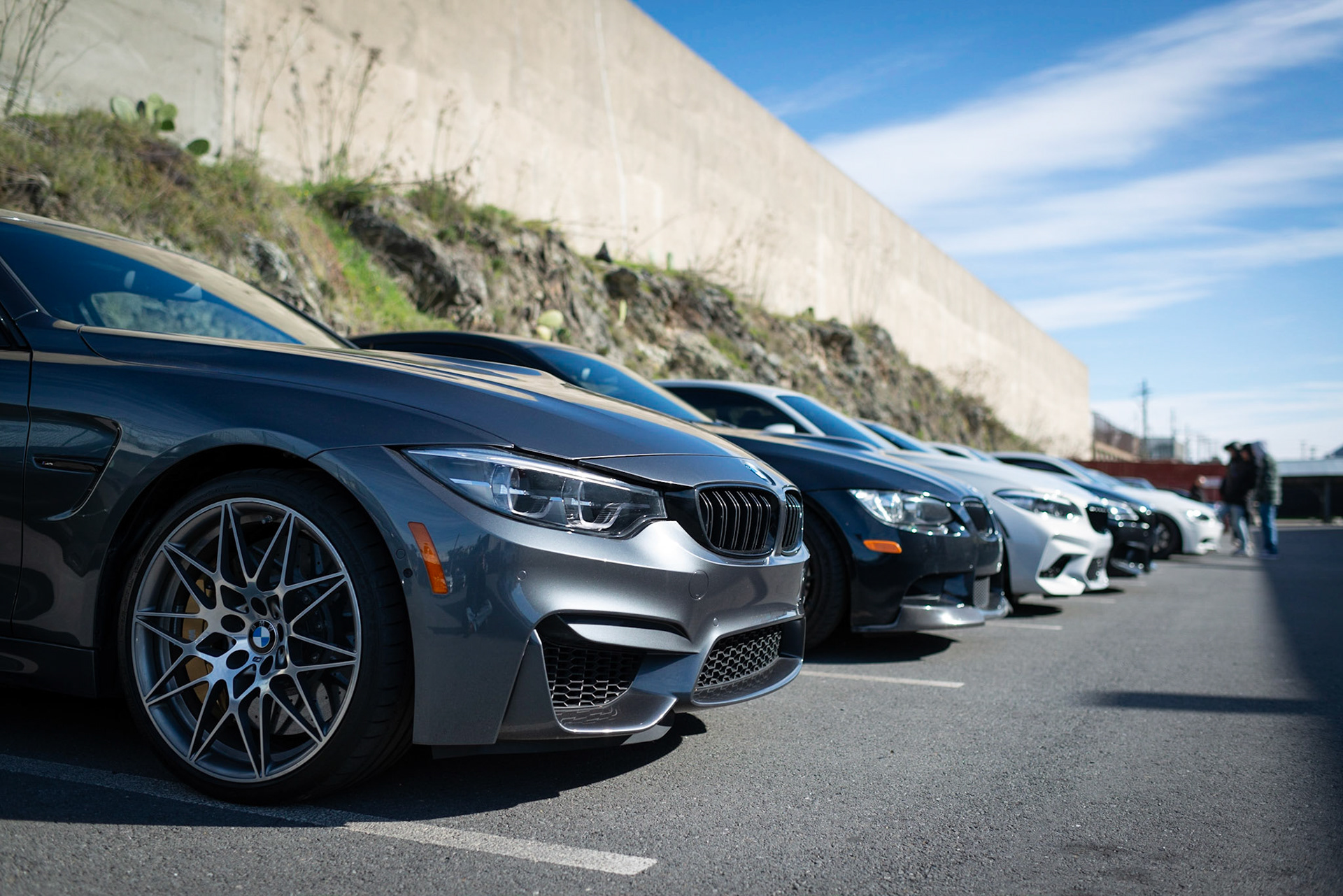 Row of BMWs