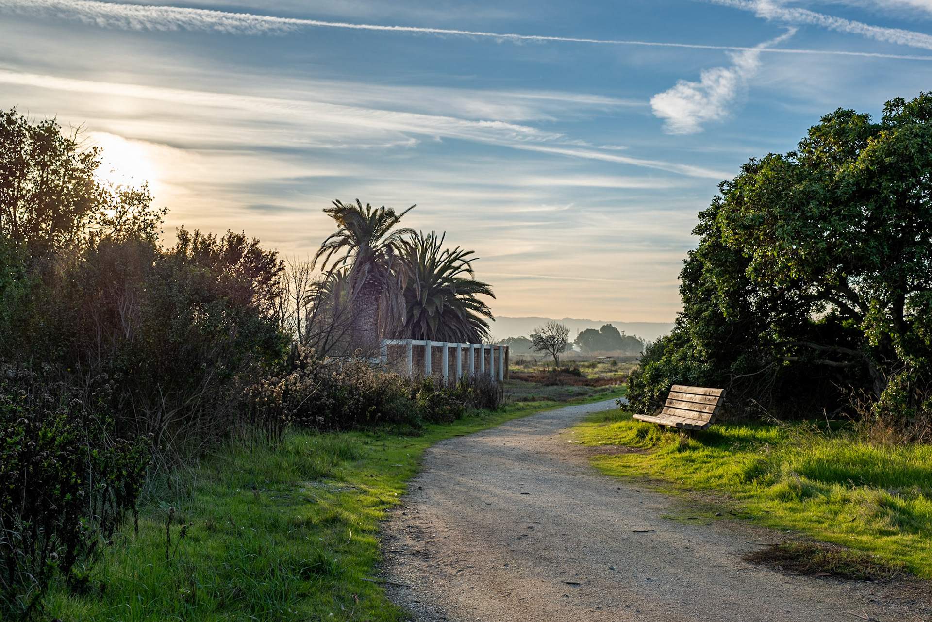 Palo Alto Baylands Nature Preserve