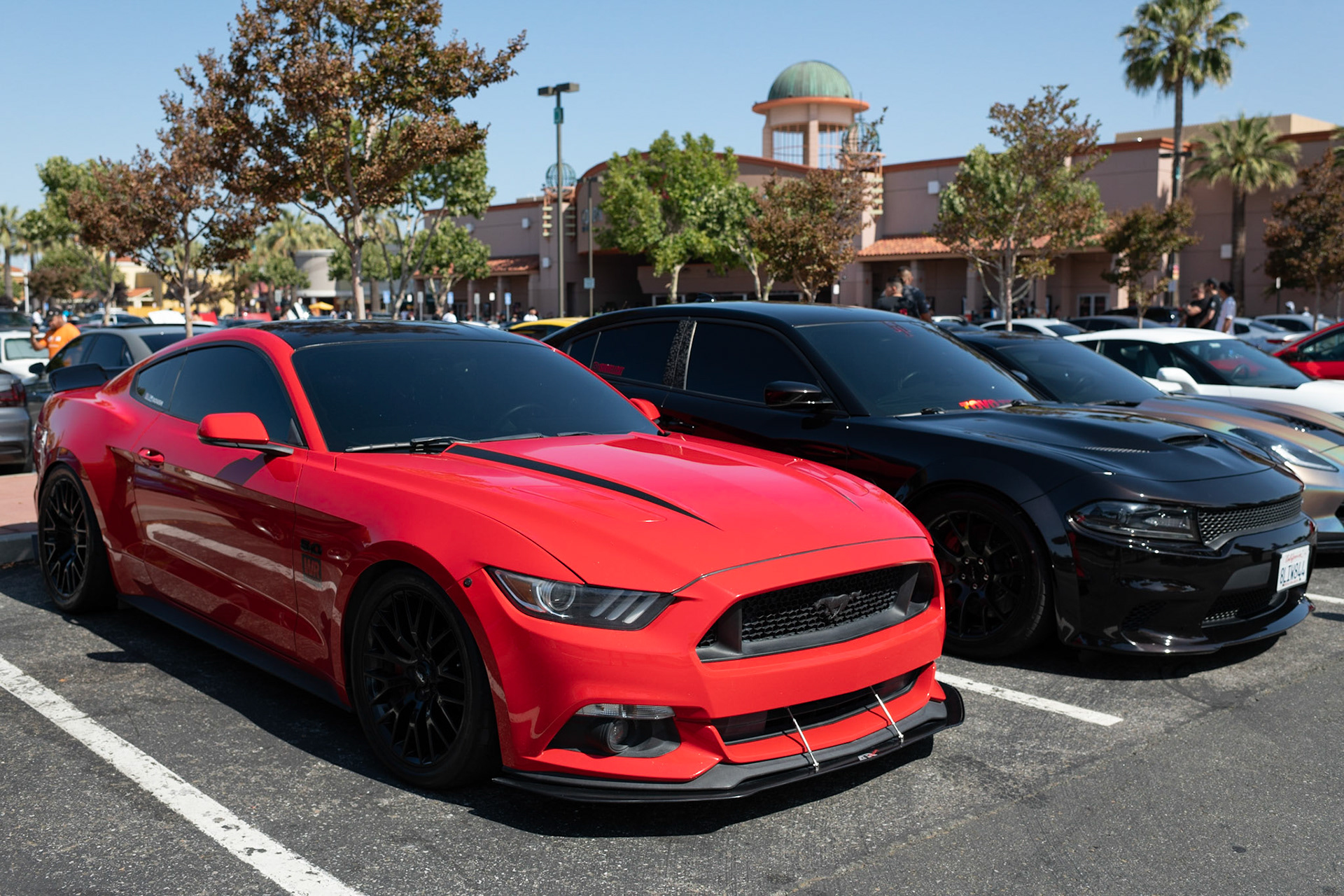 Ford Mustang 5.0 GT and Dodge Challenger SRT Hellcat @1sikhellcat