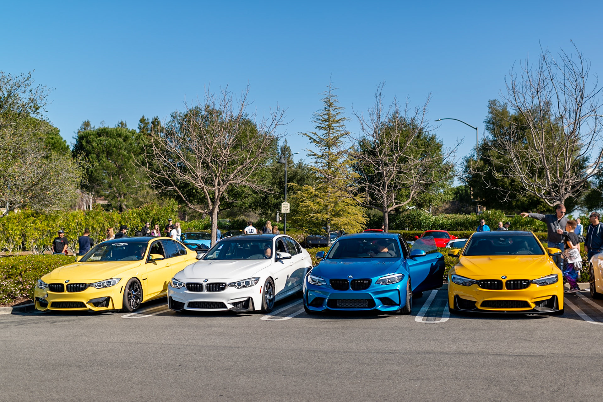 BMWs