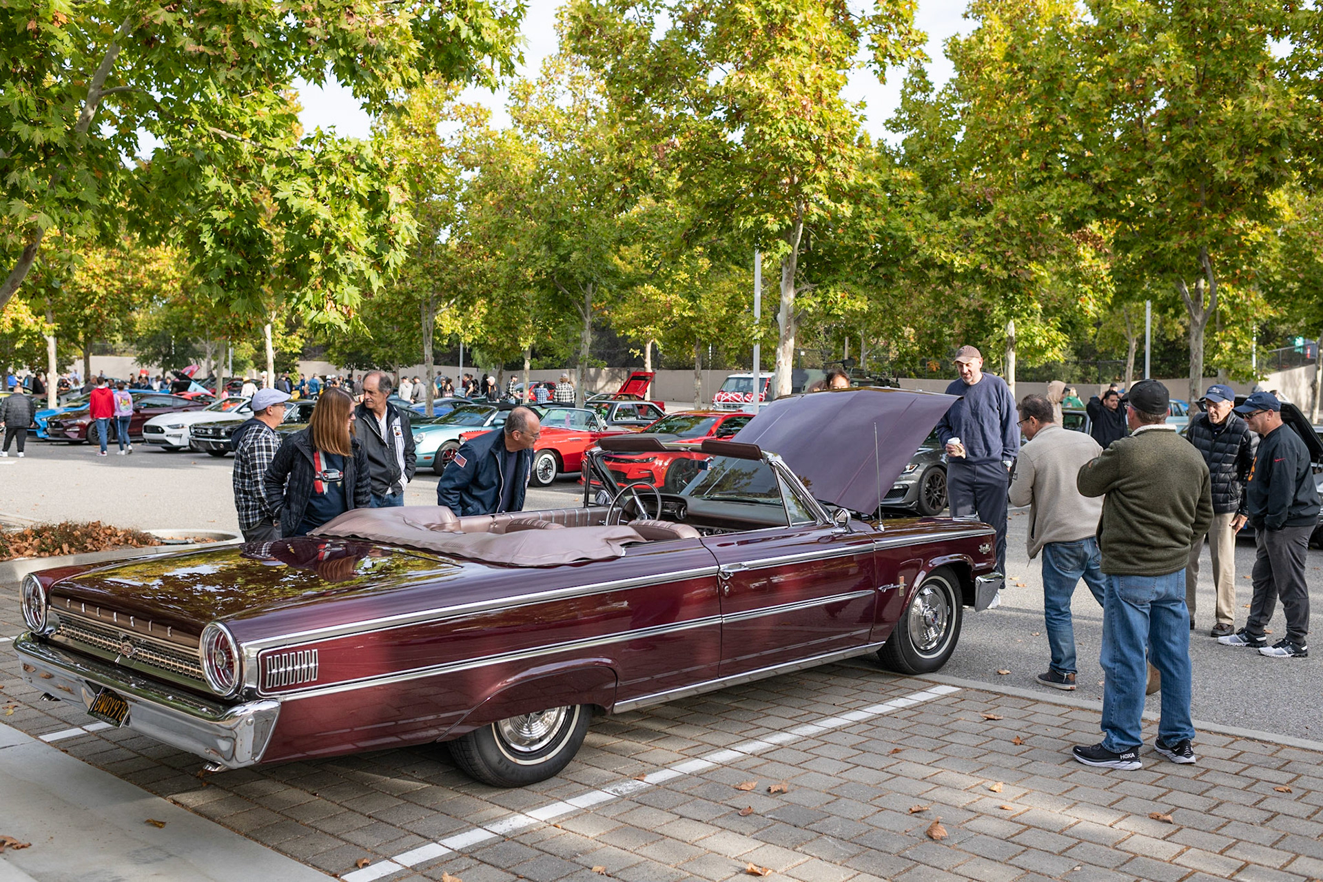 Ford Galaxie