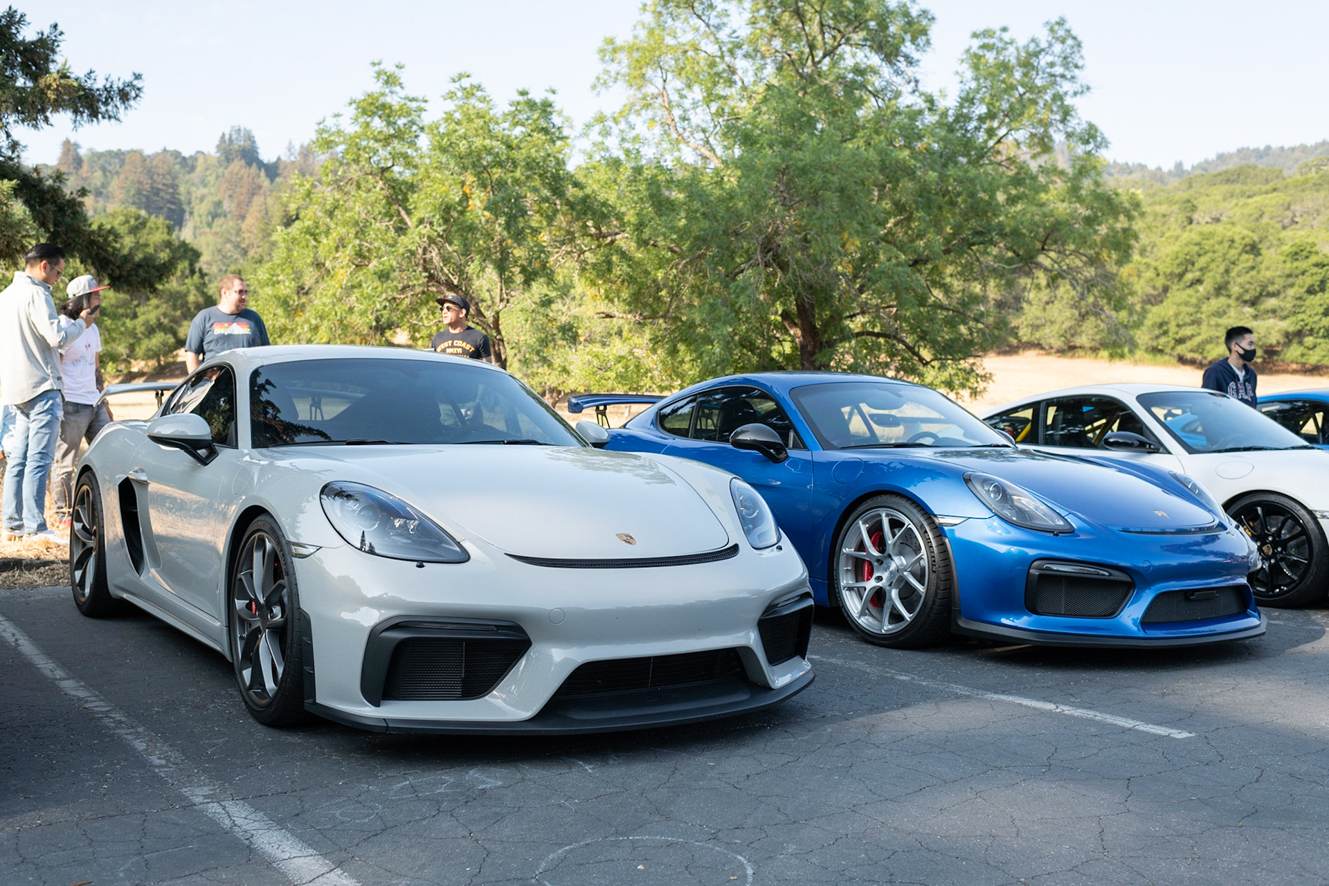 Porsche GT4