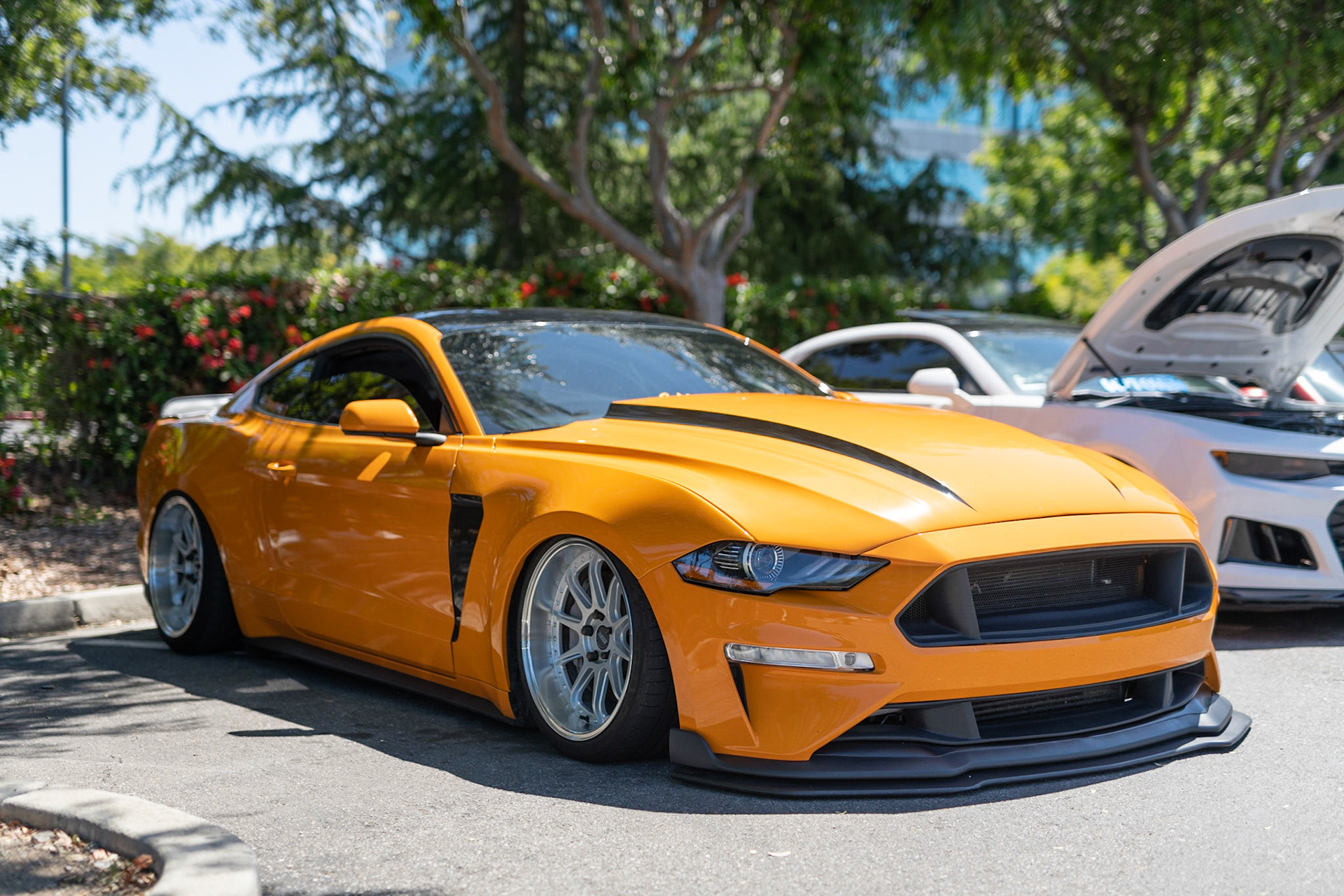 Ford Mustang 5.0 GT @ tangy5.0