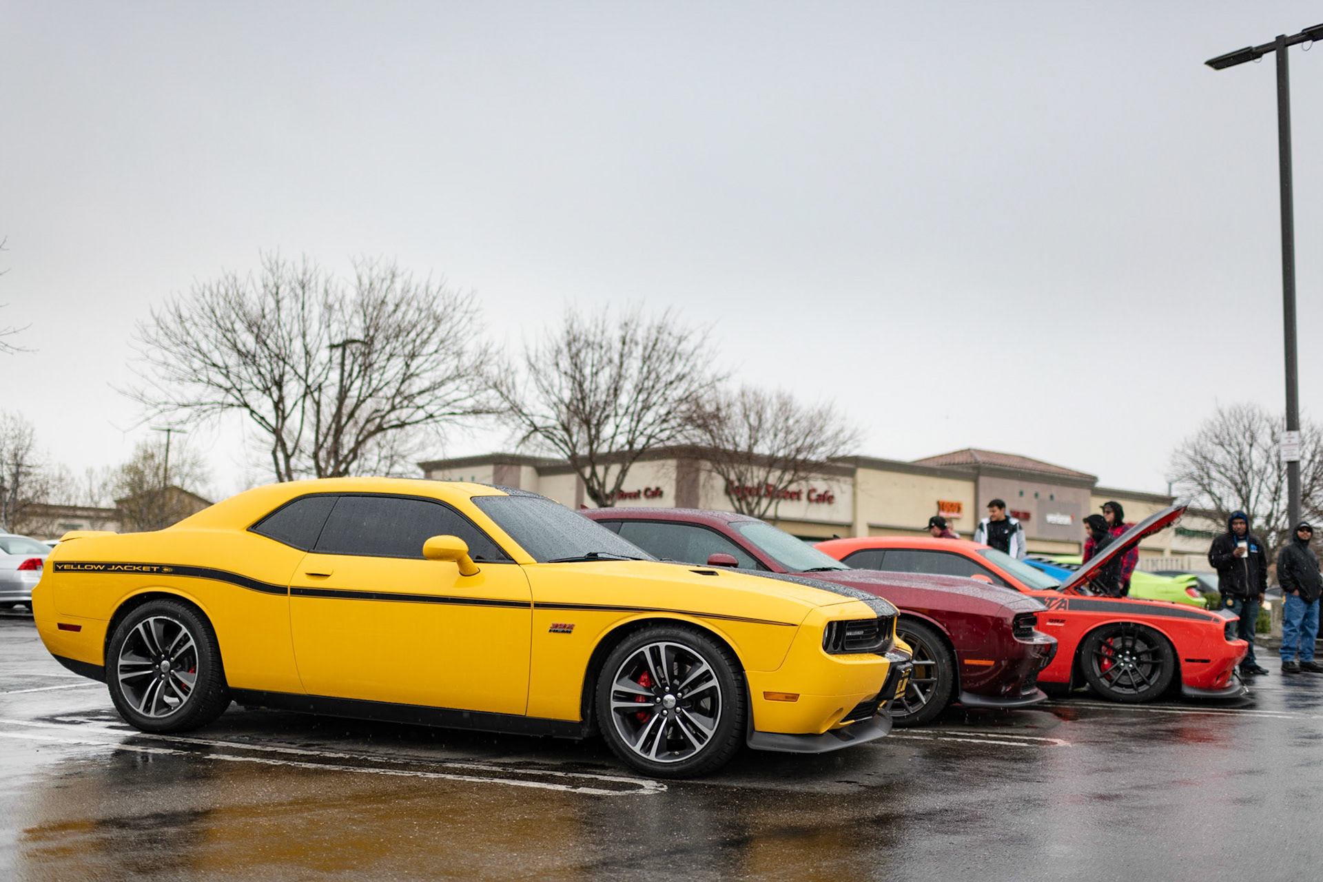 Dodge Challenger Yellow Jacket