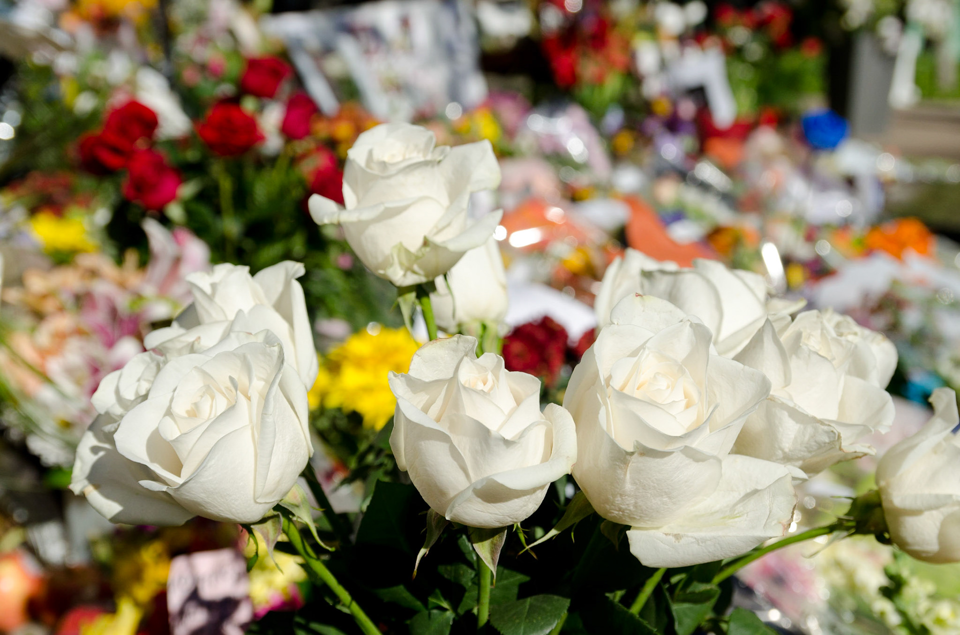 Steve Jobs Impromptu Memorial