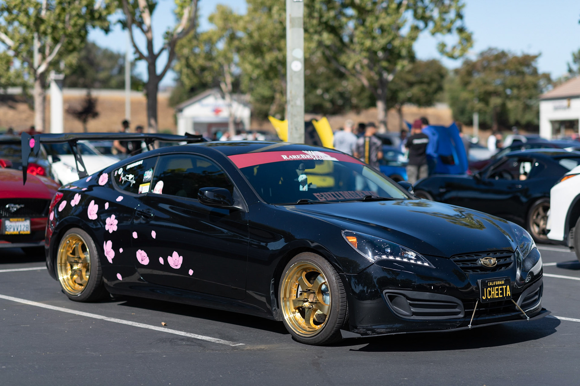 Genesis @jeicheetah