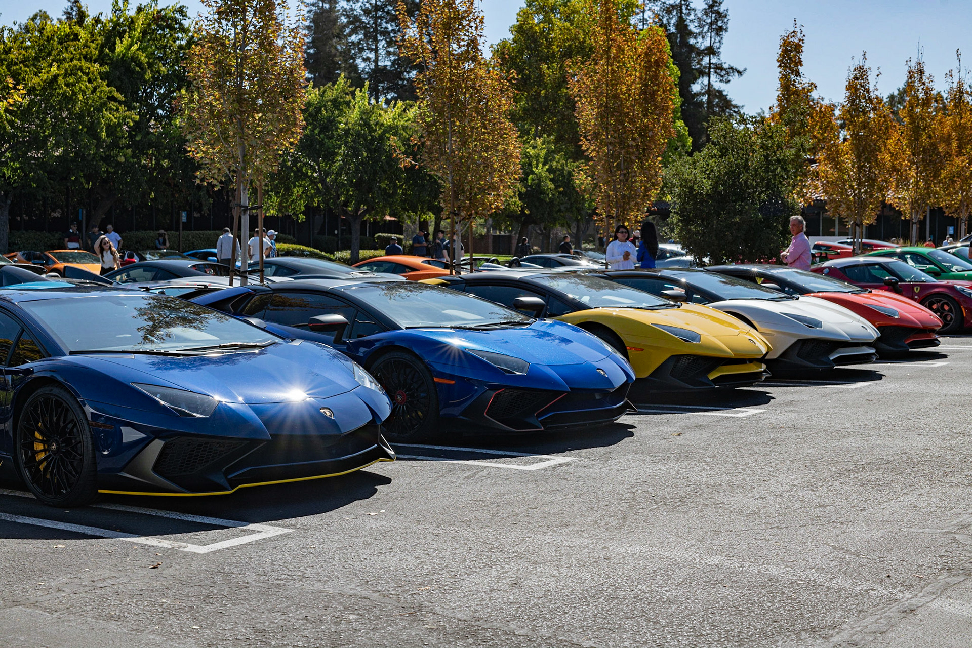 Lamborghinis
