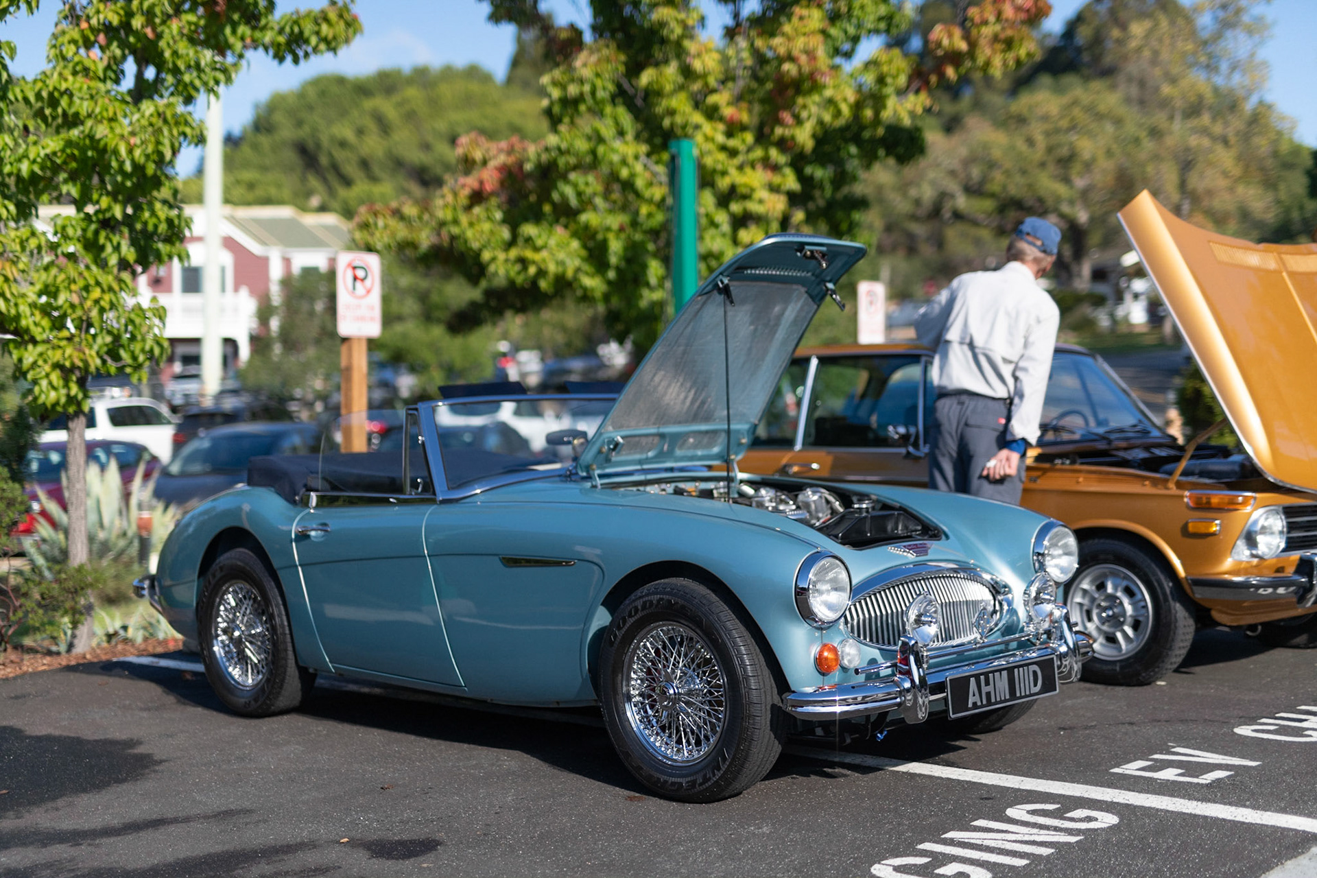 Austin Healy 3000