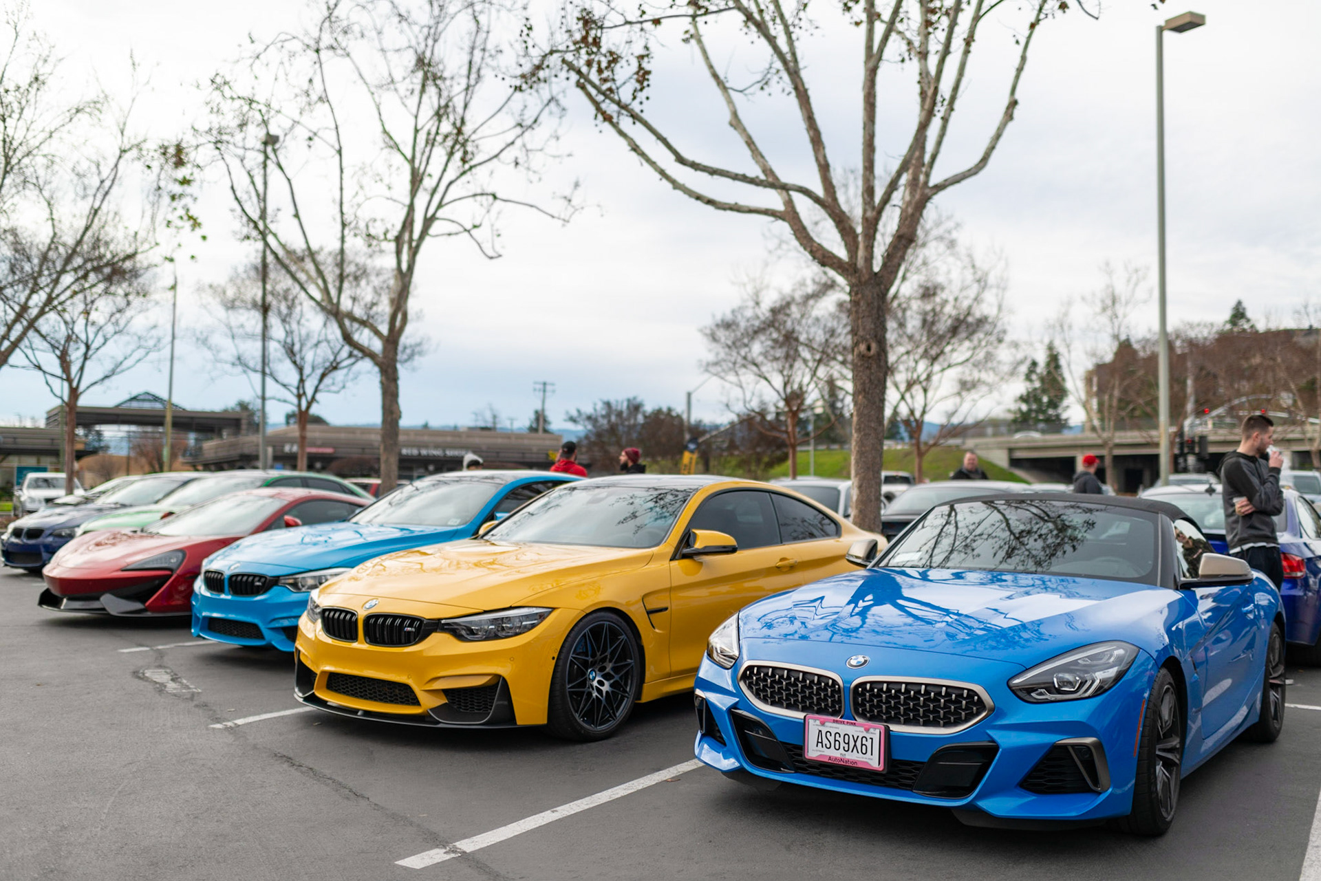BMWs