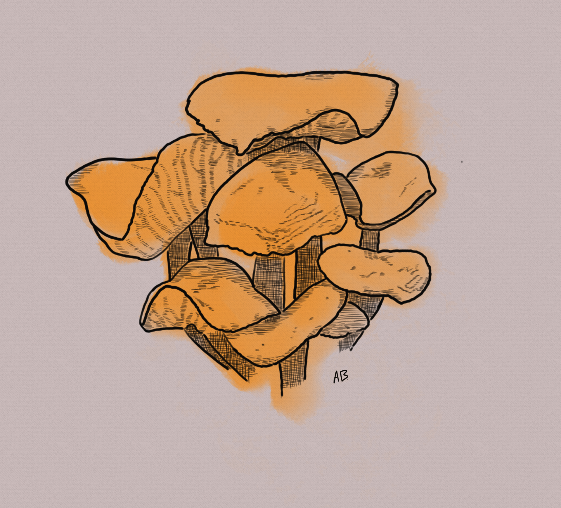 Orange Mycena -Digitally drawn and painted