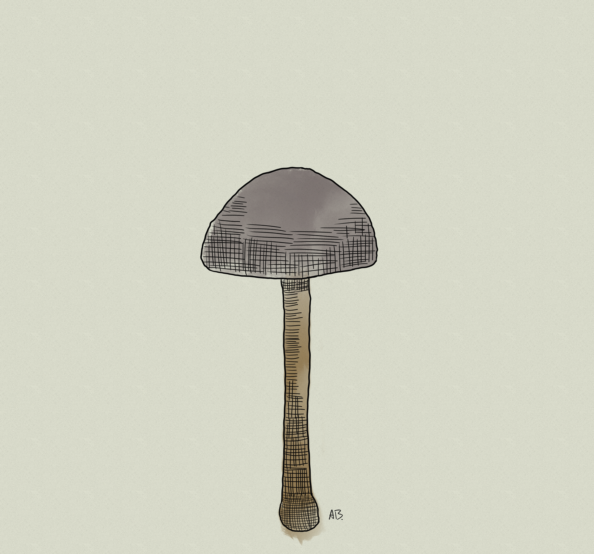 Haymaker Mushroom -Digitally drawn and painted