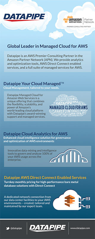 Datapipe - Managed Cloud Services Banner