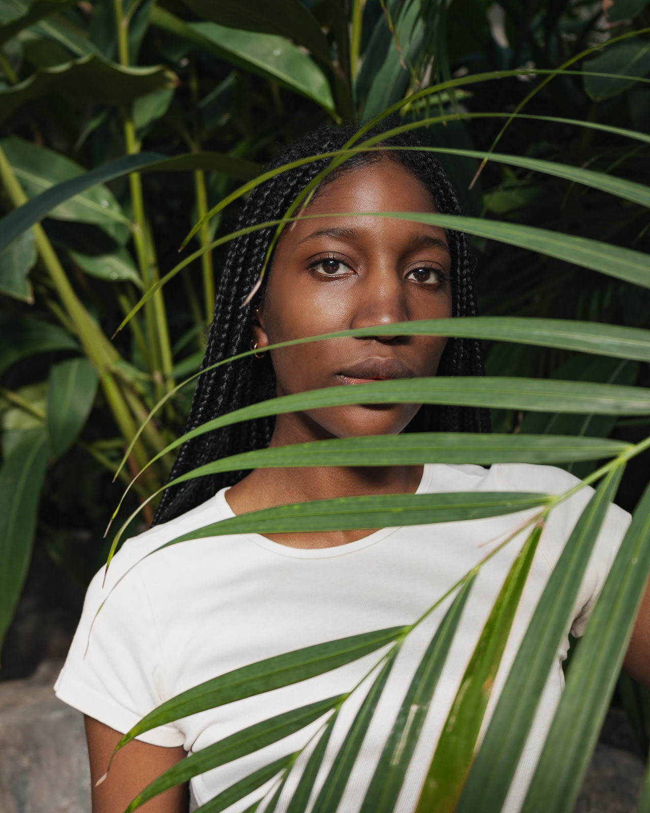 A woman's face through a tropical leaf in a Montreal's greenhouse