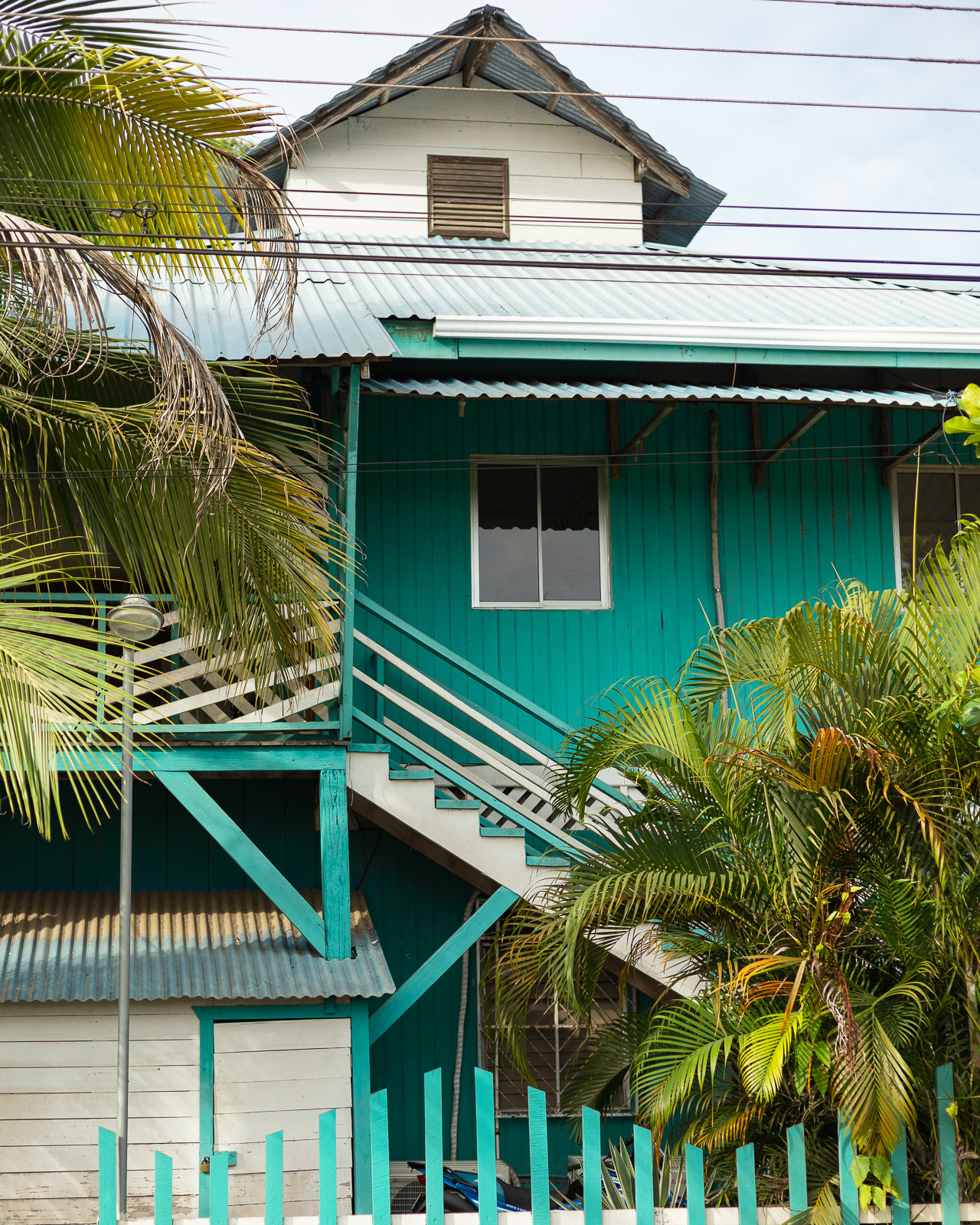 Aqua blue house and palm trees in Puerto Viejo, Costa Rica