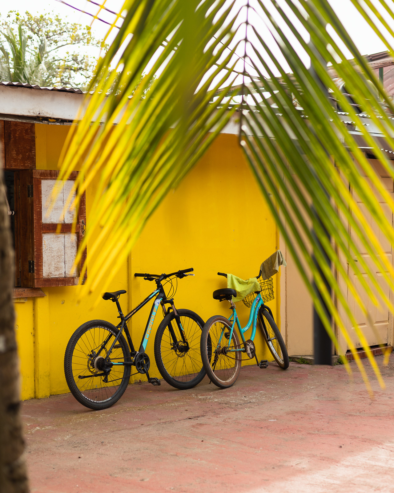 Bicycles leaning on a yellow wall in Puerto Viejo, Costa Rica