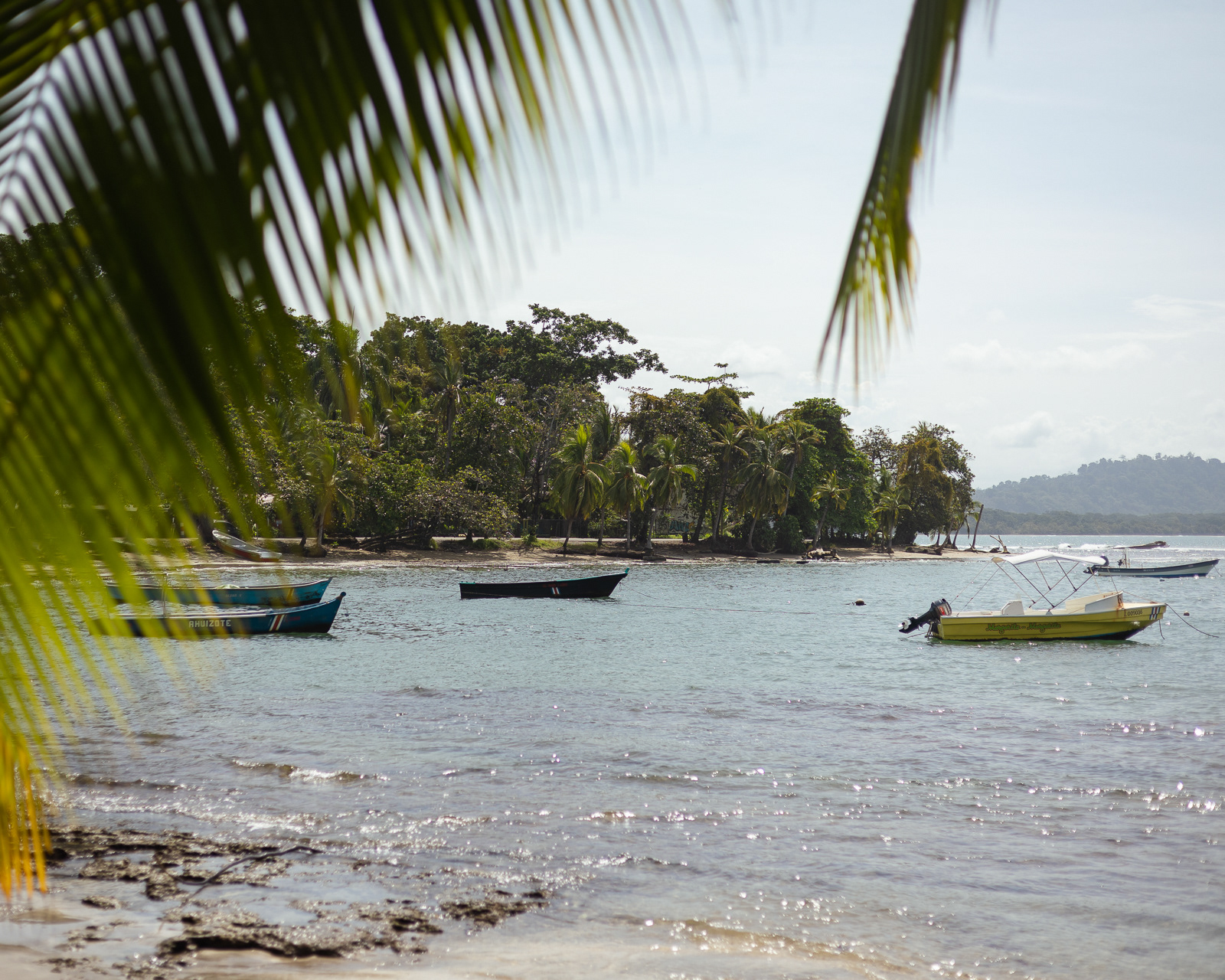 Colourful boats anchored in Puerto Viejo, Costa Rica