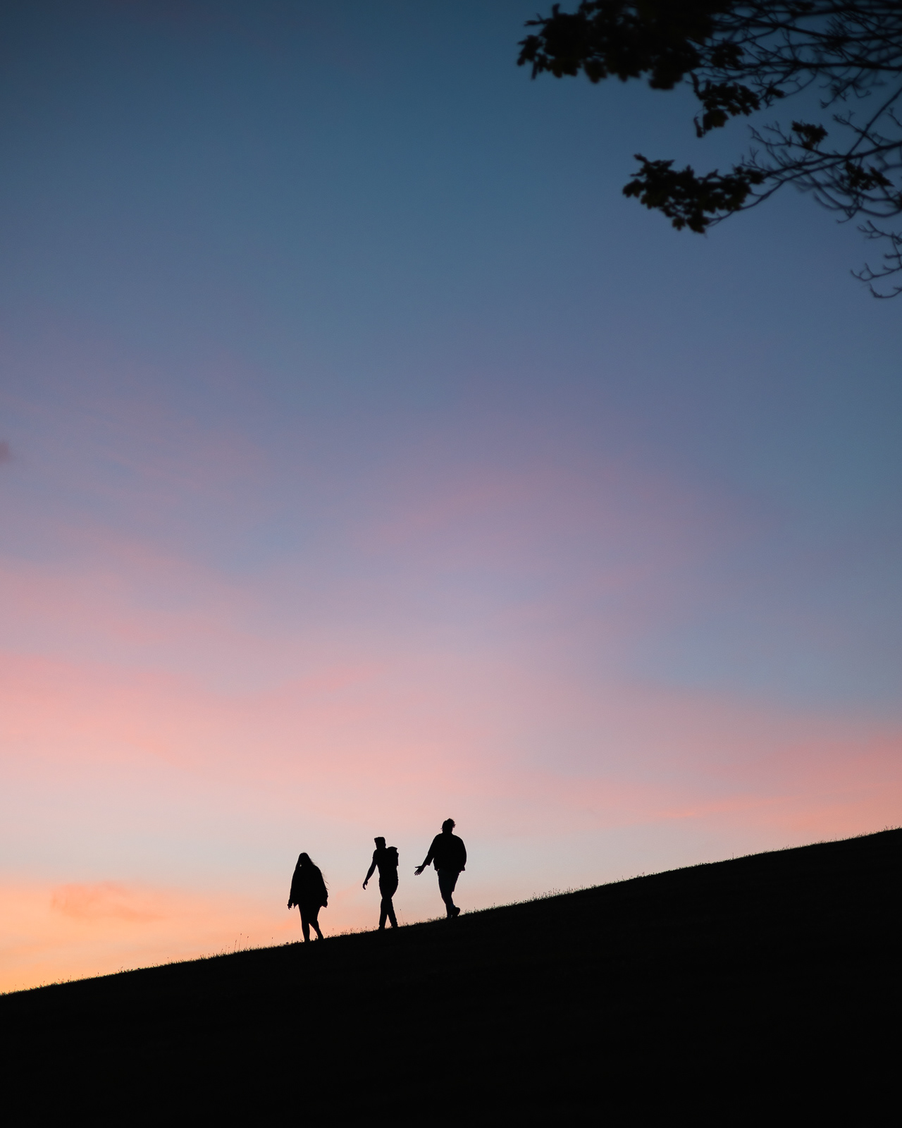 Silhouette image of 3 people walking down a hill at sunset, in Halifax