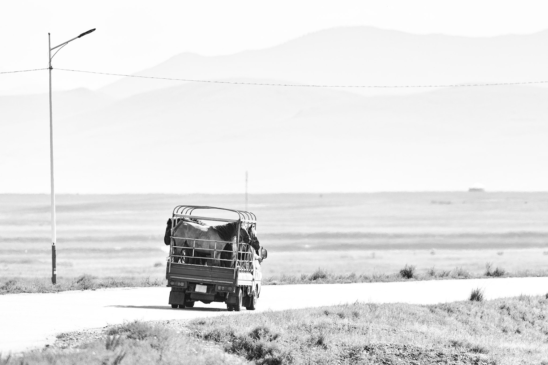 En route pour la steppe ?