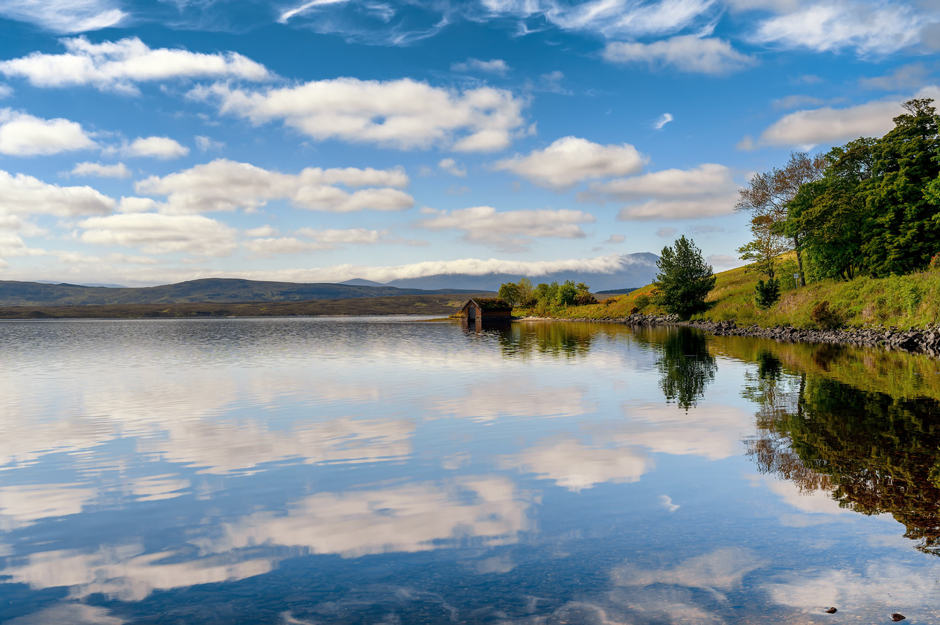 Collection Champs visuels d'Ecosse