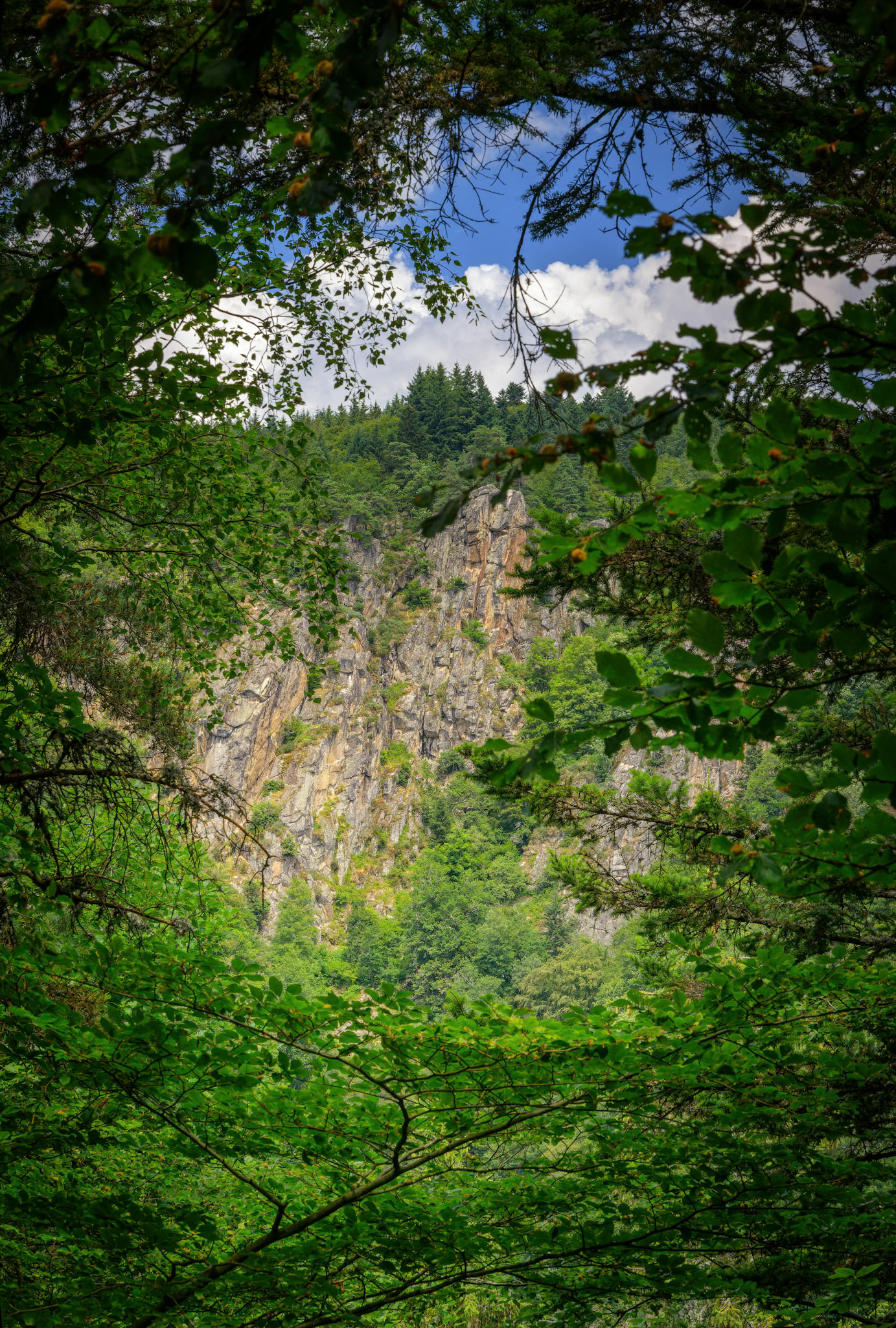 Collection Auvergne, cicatrices de feu, grondements d'éternité