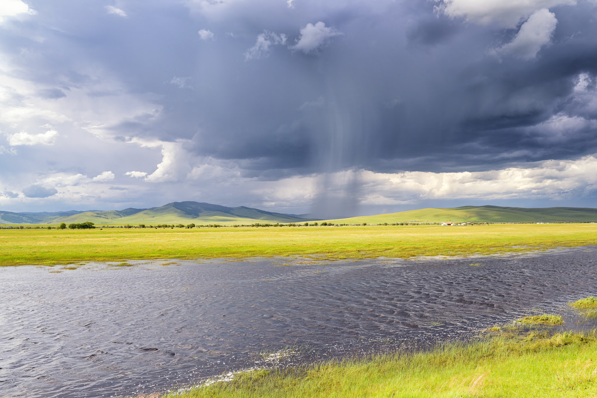 Pluie d'été dans la steppe