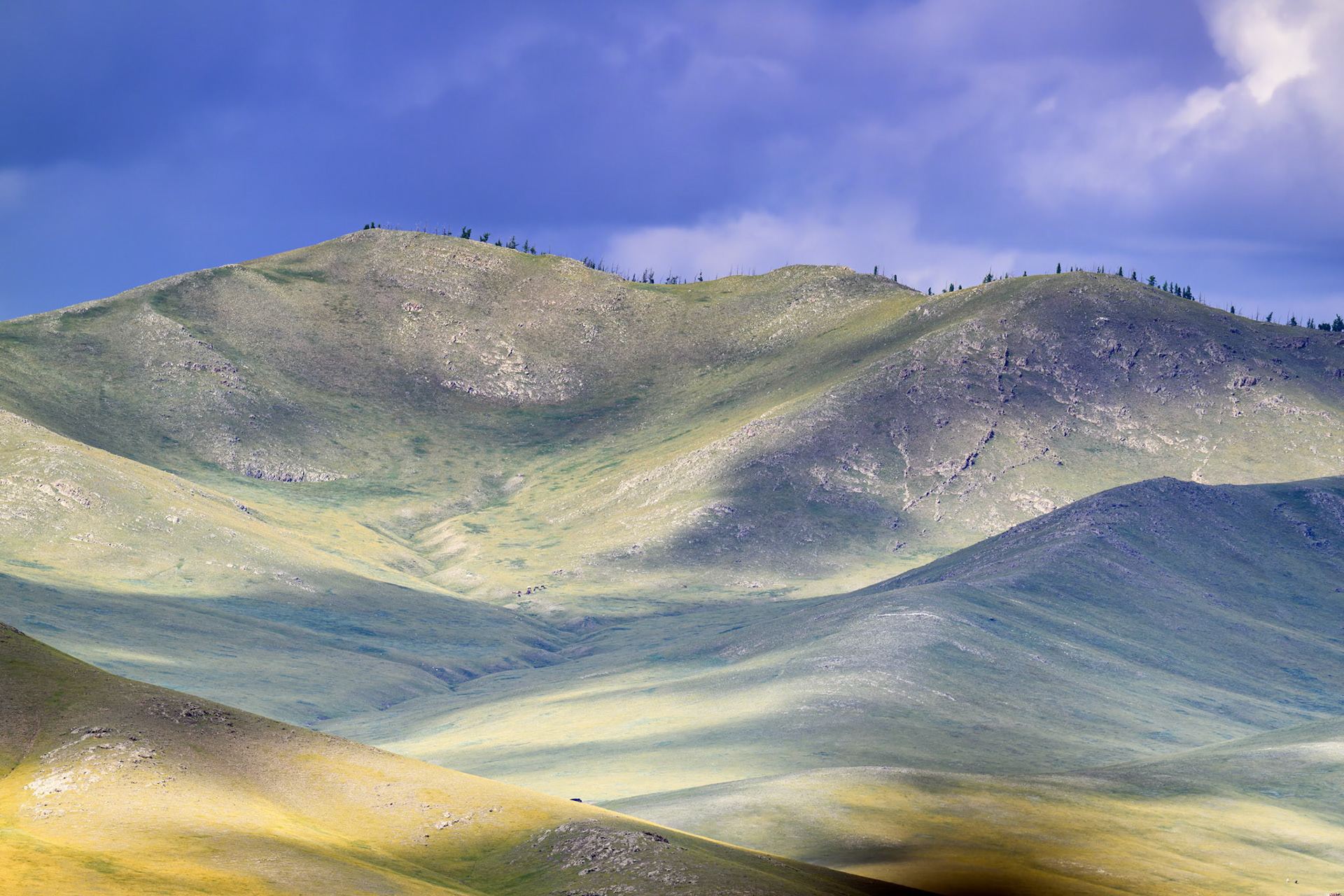 Douces lumières de la vallée de l'Orkhon