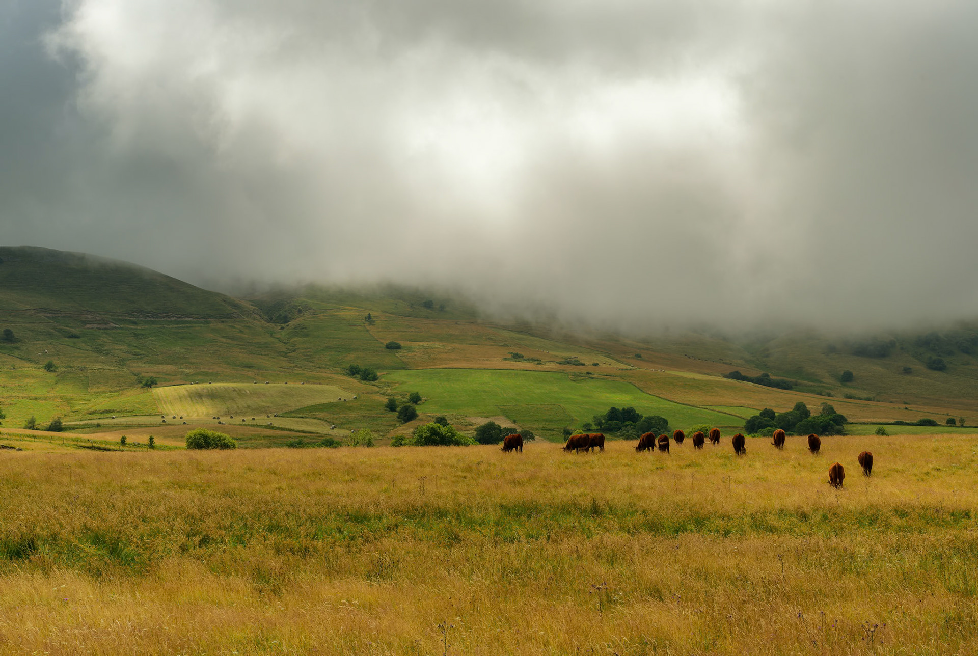 Collection Auvergne, cicatrices de feu, grondements d'éternité