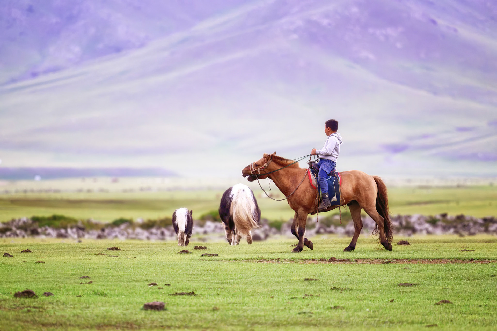 Jeune gardien des steppes