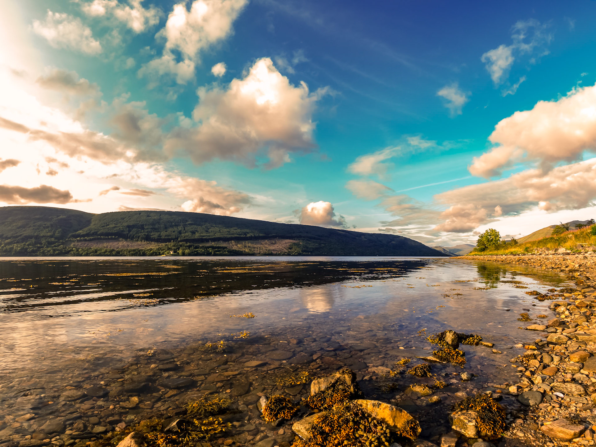 Collection Champs visuels d'Ecosse