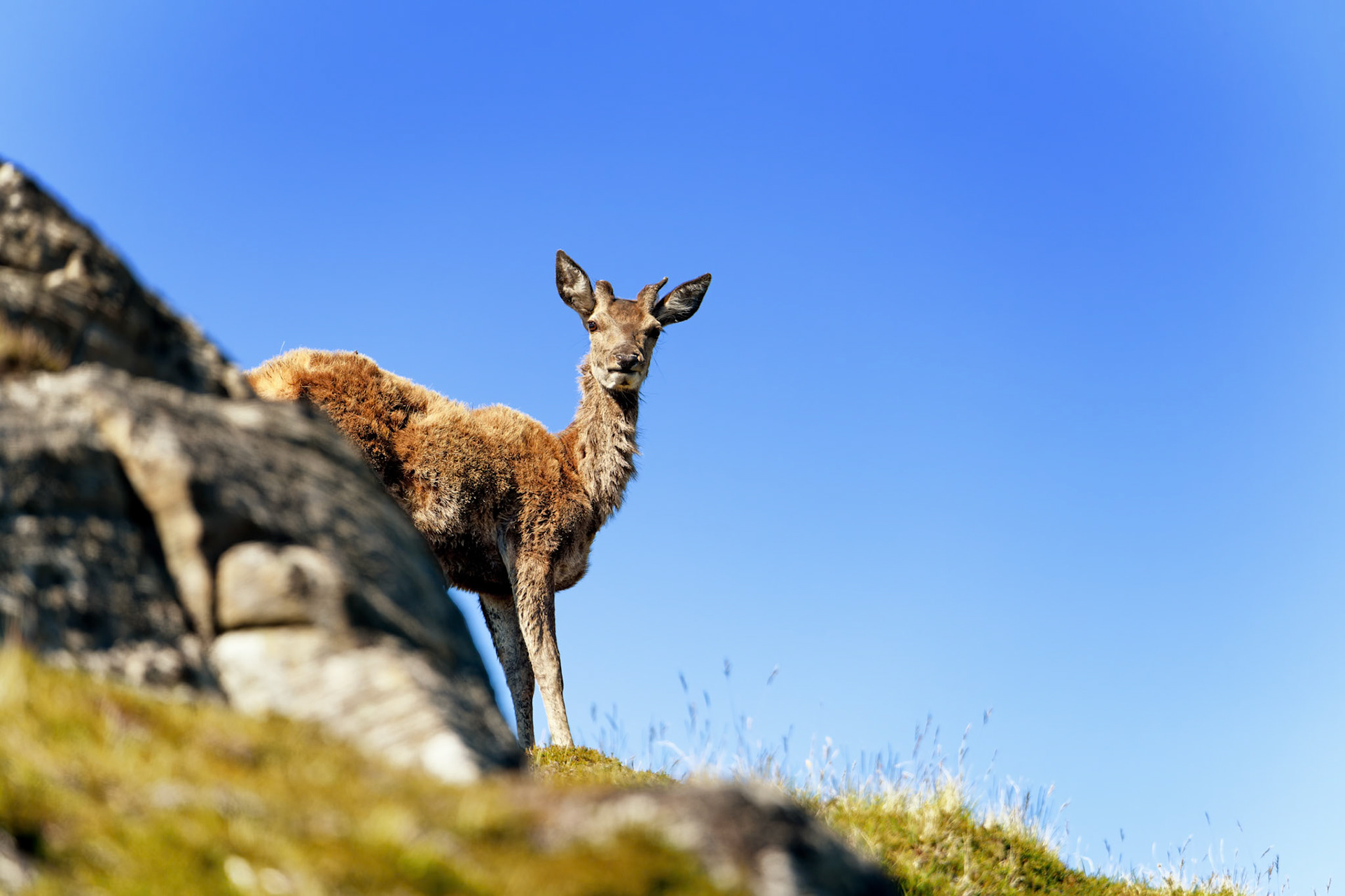 Ici, c'est les Highlands !