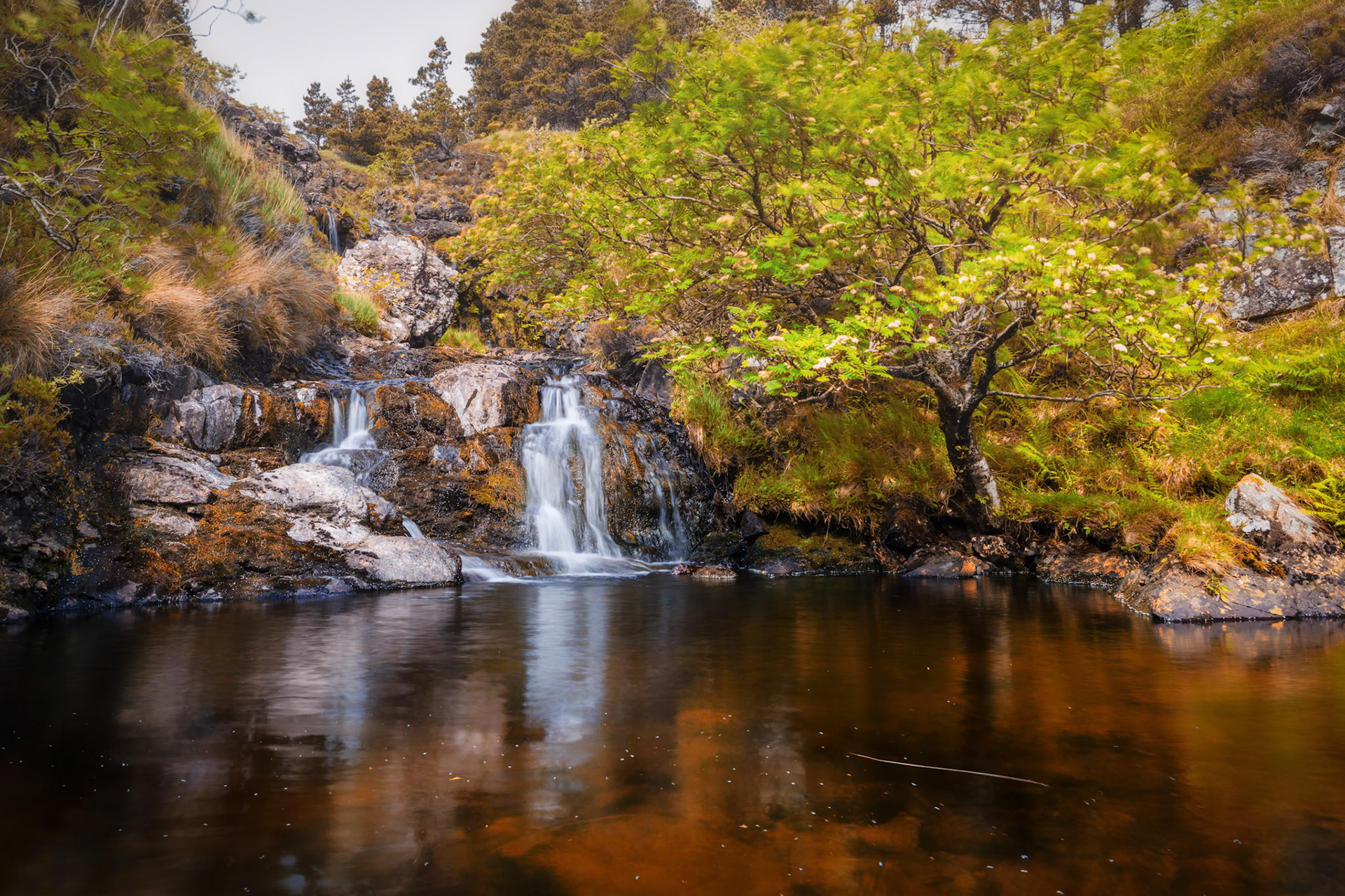Collection Champs visuels d'Ecosse