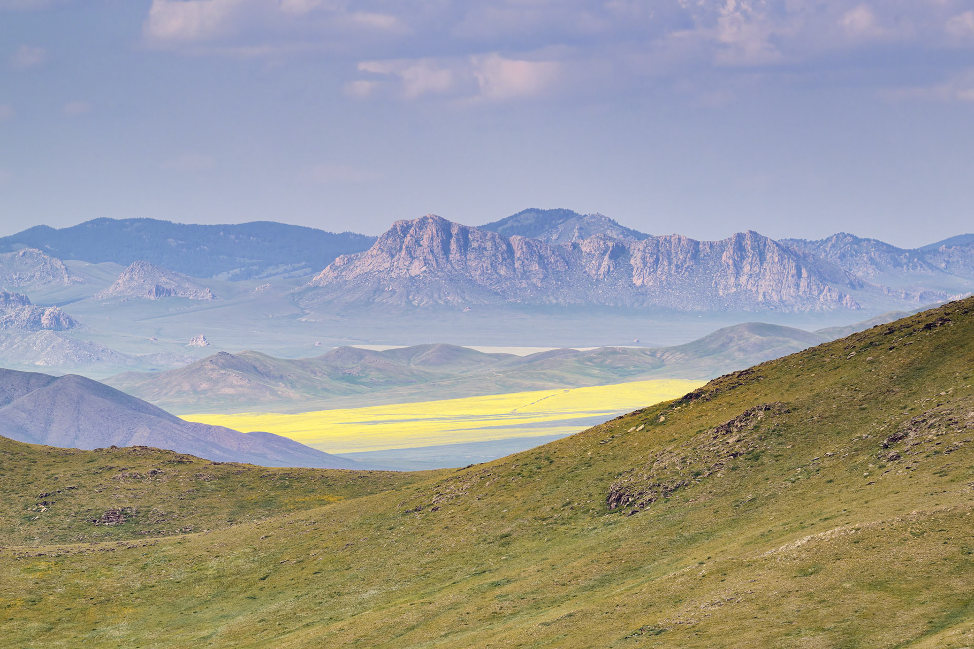 Ecrin jaune au coeur de l'hustai