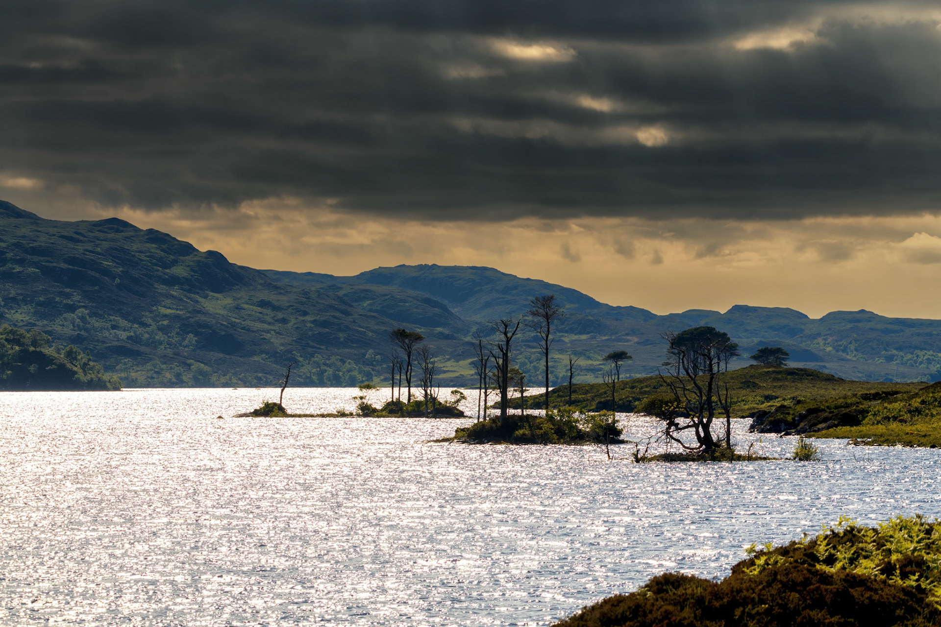 Collection Champs visuels d'Ecosse