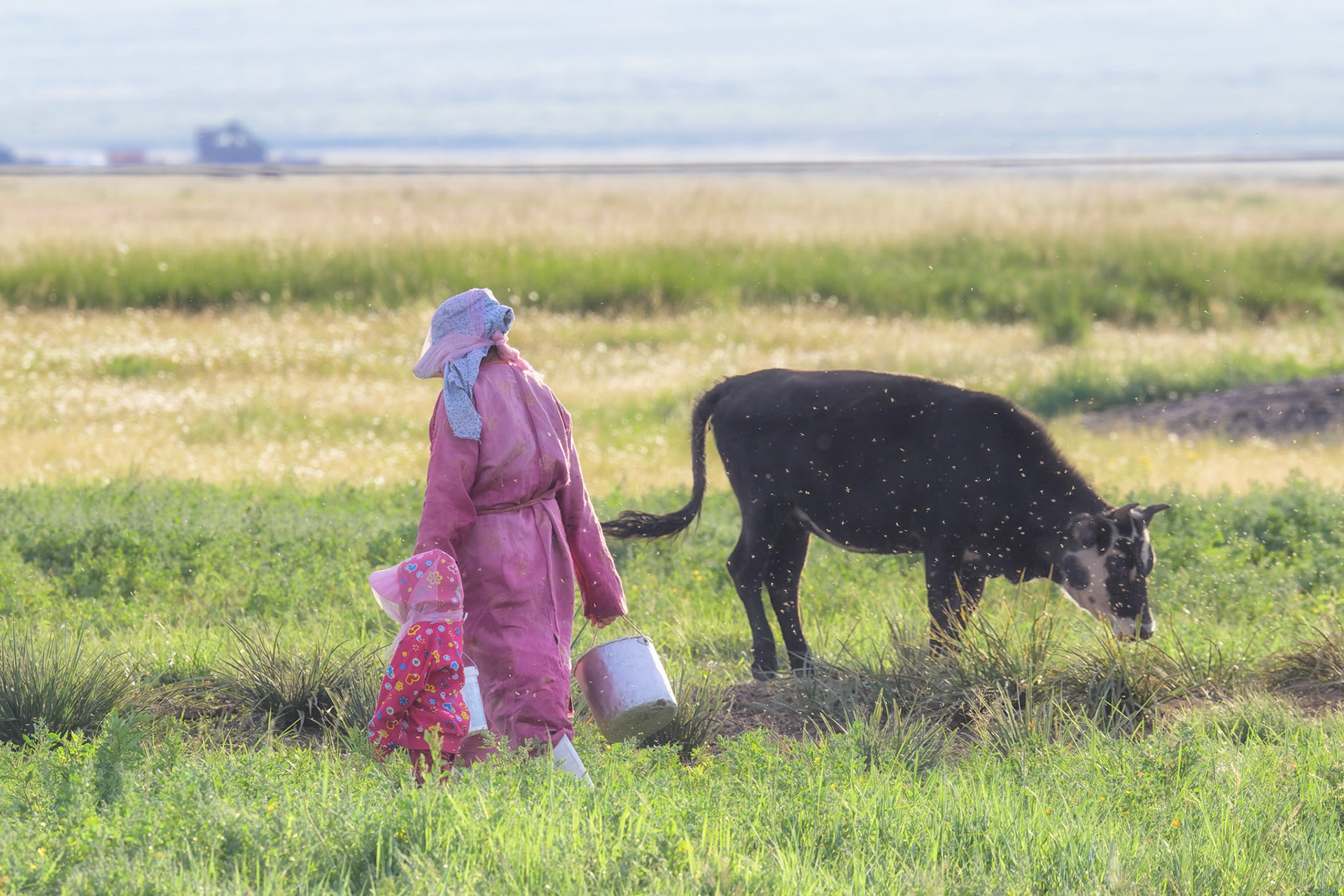 L'enfer indiscible des mouches de la steppe