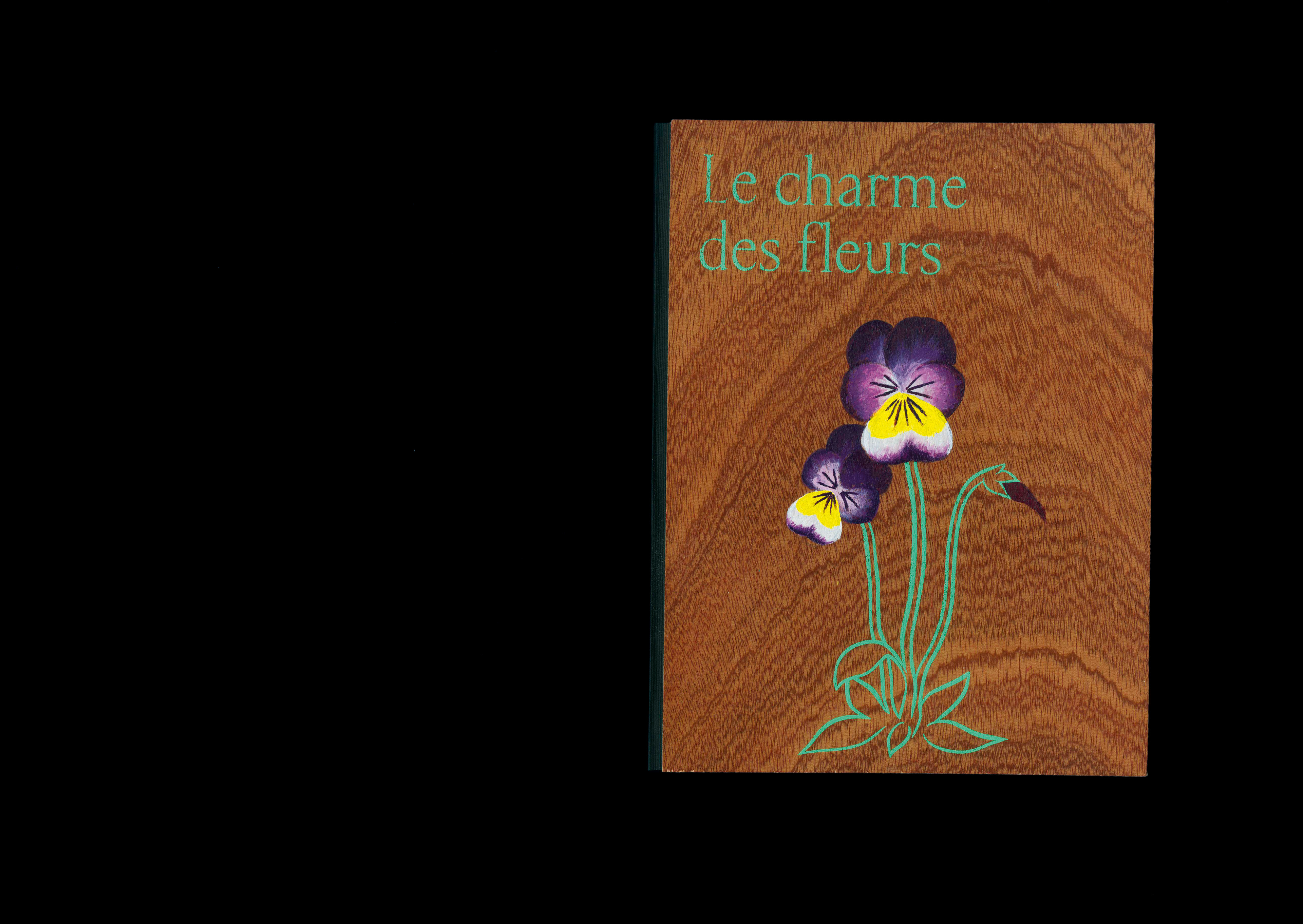 L’apprentissage par l’expérimentation et la contemplation Ce projet m’a permis de me familiariser avec le livre, un support que j’affectionne particulièrement. Il a été réalisé en collaboration avec François Bernier (biologiste des plantes). Destiné aux collégiens, le livre explique de façon poétique la pigmentation des fleurs en lien avec la pollinisation. Ainsi, l’édition répond à la problématique suivante : comment les plantes séduisent-elles les pollinisateurs par leurs couleurs ? Les fleurs apparaissent mystérieuses et séductrices car leur fonction première est d’attirer la vue des pollinisateurs. Ainsi, l’édition crée des paysages en fonction de la classification des fleurs par leurs pigments. La teinte sombre des pages permet de mettre en valeur lescouleurs impressionnantes des fleurs. L’effet de profondeur grâce au papier découpé permet de recréer un environnement mystérieux et guide le regard vers les couleurs qui émergent du paysage. Grâce à une lampe UV qui révèle les pigments UV que seuls les pollinisateurs peuvent voir, le lecteur complète cette expérience ludique et peut se mettre à la place du pollinisateur.