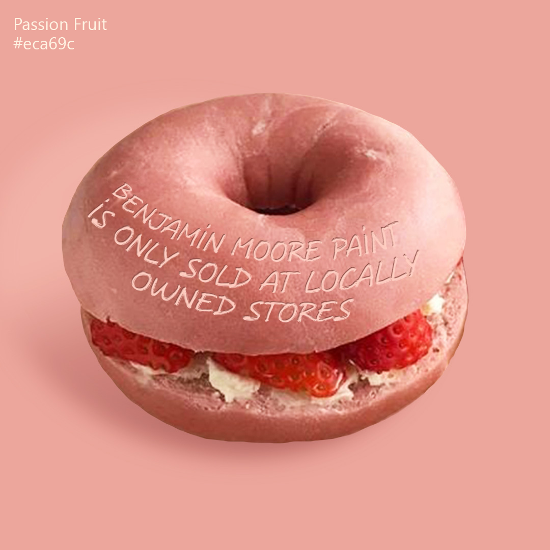 Strawberry Bagel | Design by Myself